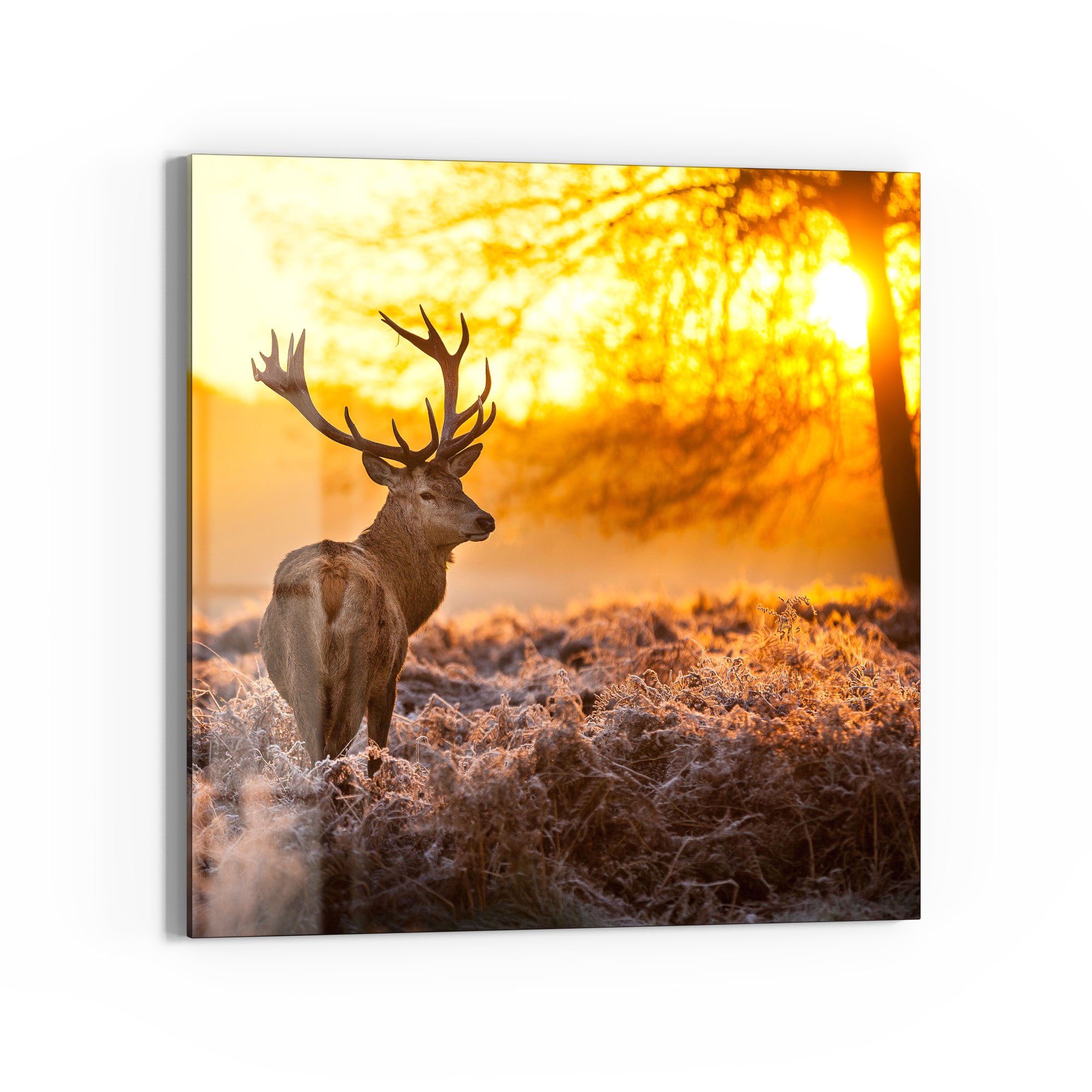 DEQORI Magnettafel 'Hirsch am Wintermorgen', Whiteboard Pinnwand beschreibbar