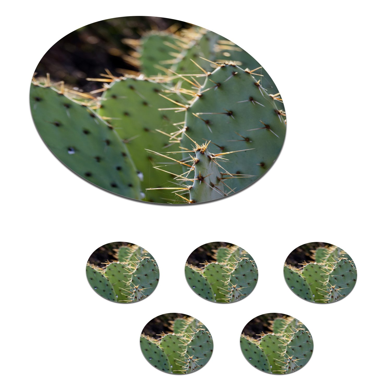 MuchoWow Glasuntersetzer Botanischer Kaktus Fotodruck, Zubehör für Gläser, 6-tlg., Getränkeuntersetzer, Tassenuntersetzer, Korkuntersetzer, Tasse, Becher