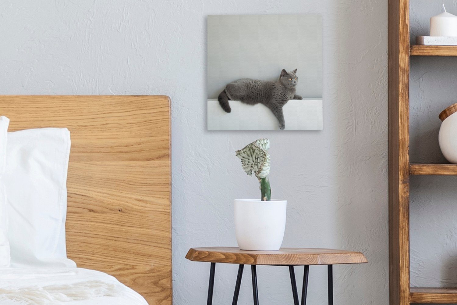 Kurzhaar Schlafzimmer Bilder Britisch (1 - für St), - Leinwand Katze Grau Leinwandbild bunt Kinder, - - OneMillionCanvasses® Kinder Jungen - Mädchen Wohnzimmer -