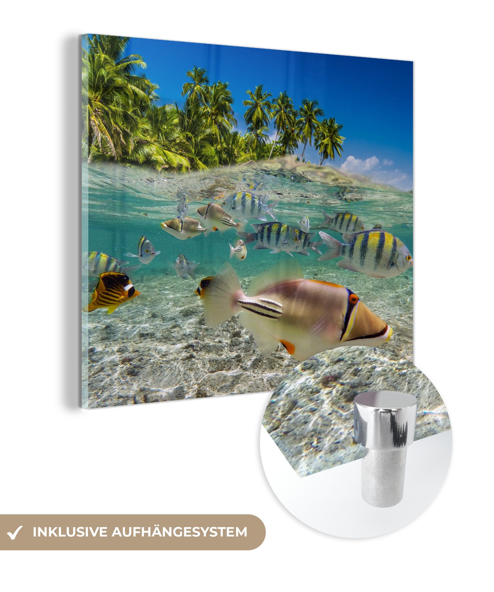 MuchoWow Acrylglasbild Strand - Angeln - Tropisch, (1 St), Glasbilder - Bilder auf Glas Wandbild - Foto auf Glas - Wanddekoration