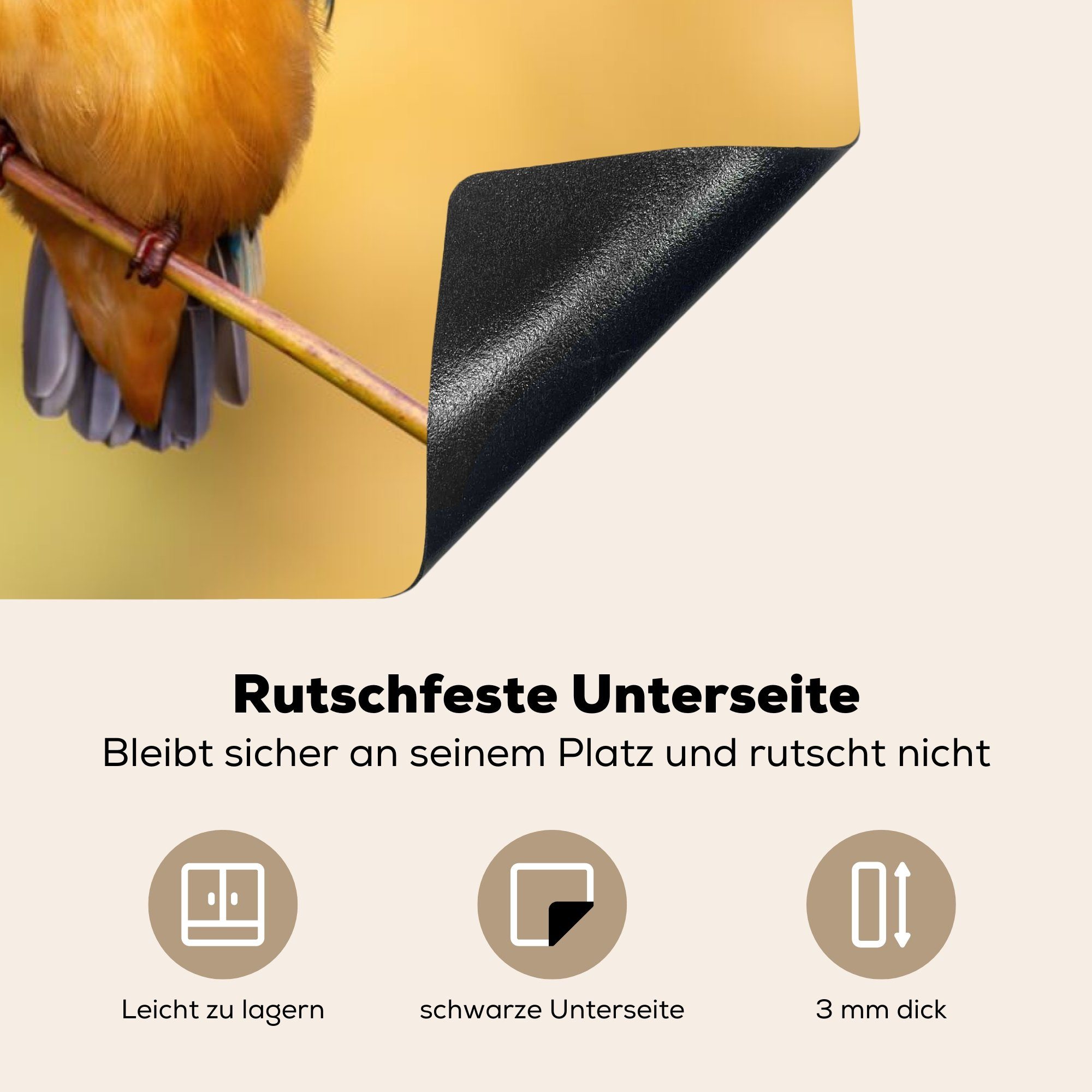 MuchoWow Herdblende-/Abdeckplatte Vogel, Natur für - tlg), - (1 Eisvogel Vinyl, Arbeitsplatte 81x52 küche Ceranfeldabdeckung, cm