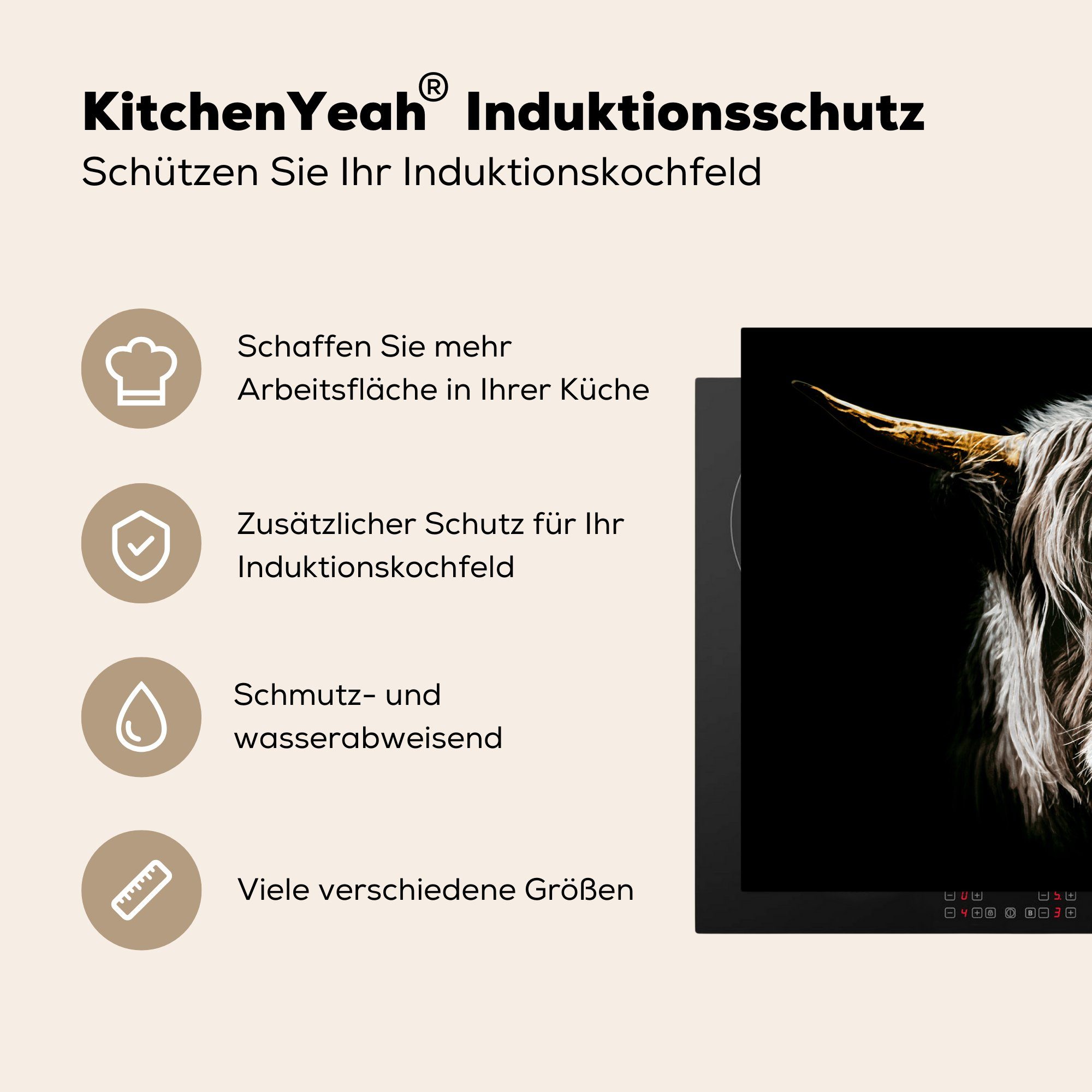 Schottischer Kuh Herdblende-/Abdeckplatte 81x52 Schutz Gold Hörner Ceranfeldabdeckung MuchoWow - -, - Induktionskochfeld - und Schwarz für weiß cm, Highlander (1 Vinyl, küche, die - tlg),