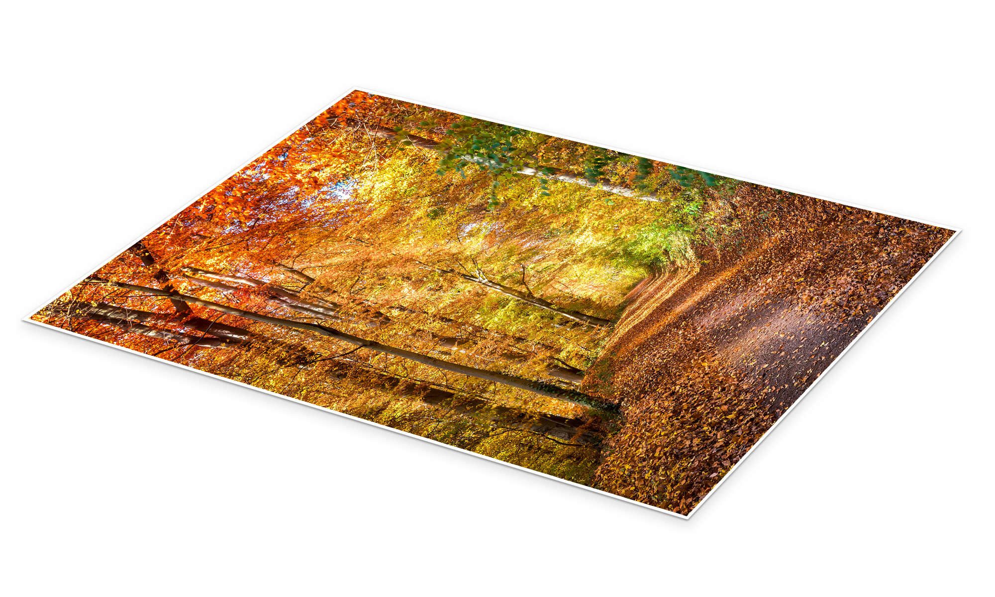 Posterlounge Wandbild Indian Summer in Nordamerika, Jan Christopher Becke, erhältlich als Poster, Leinwandbild, Wandsticker oder Acrylglasbild