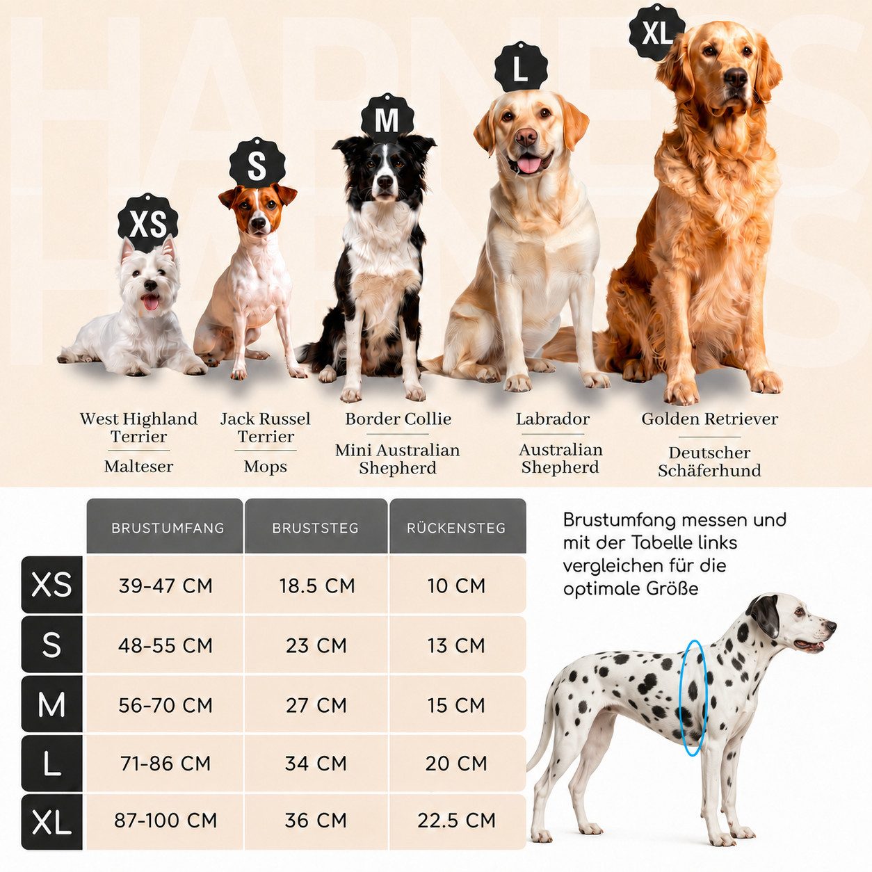 Freudentier Hunde-Geschirr Hundegeschirr mit atmungsaktiver Polsterung, perfekter Sitz, Anti-Zug Brustgeschirr, reflektierend