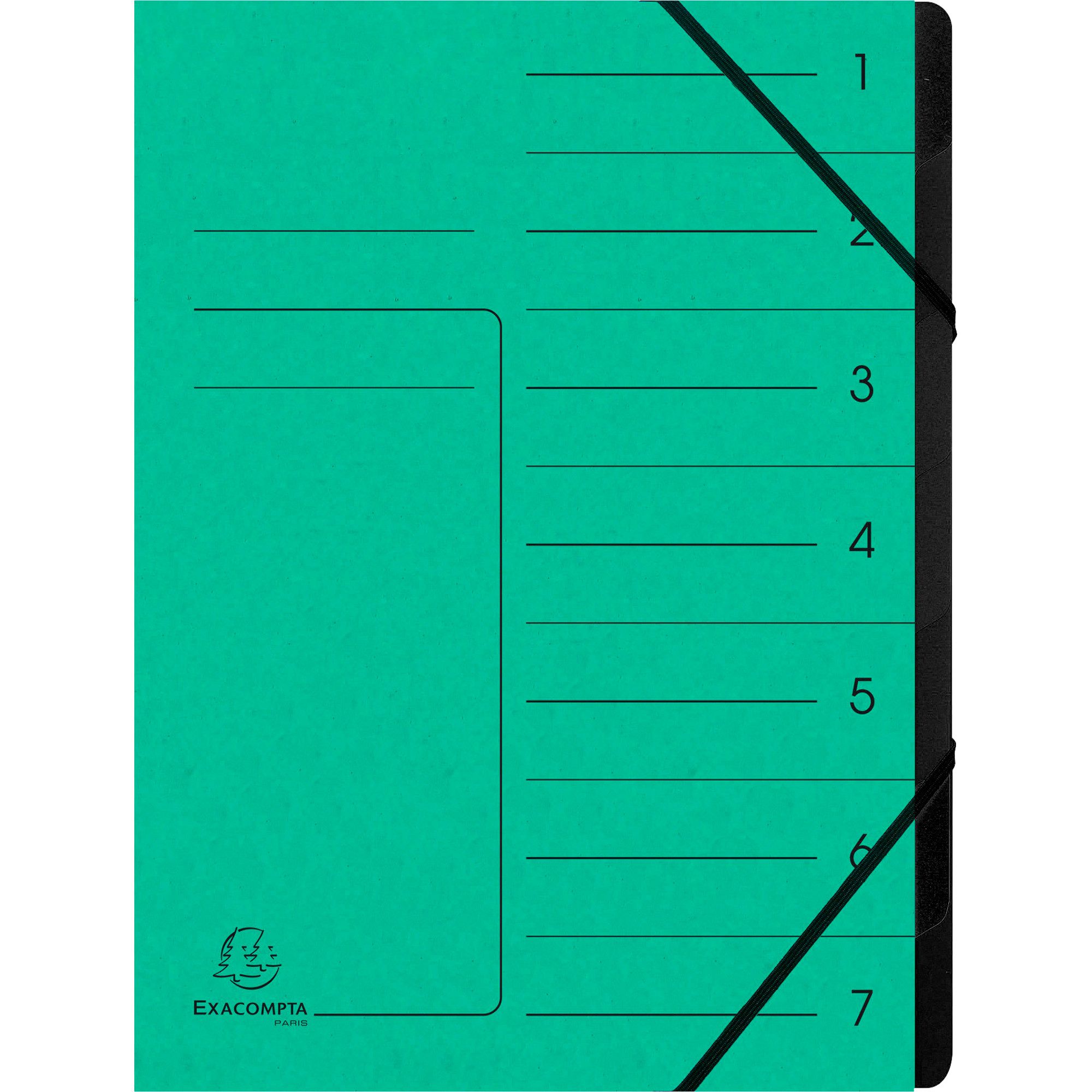 Organisationsmappe Ordnungsmappe 540703E DIN A4 7 Fächer Karton grün