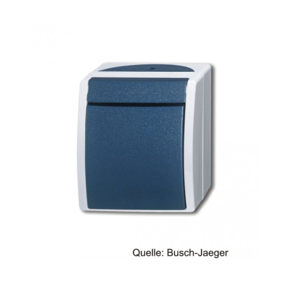 Busch-Jaeger Busch-Jaeger Wipptaster, Schließer, 1polig, grau/ blaugrén 2621 W-53 Elektro-Kabel
