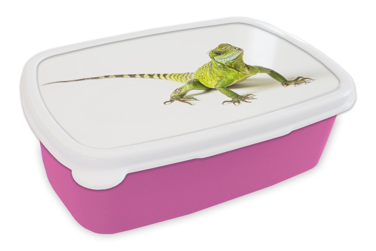 MuchoWow Lunchbox Eidechse - Reptil - Weiß, Kunststoff, (2-tlg), Brotbox für Erwachsene, Brotdose Kinder, Snackbox, Mädchen, Kunststoff rosa