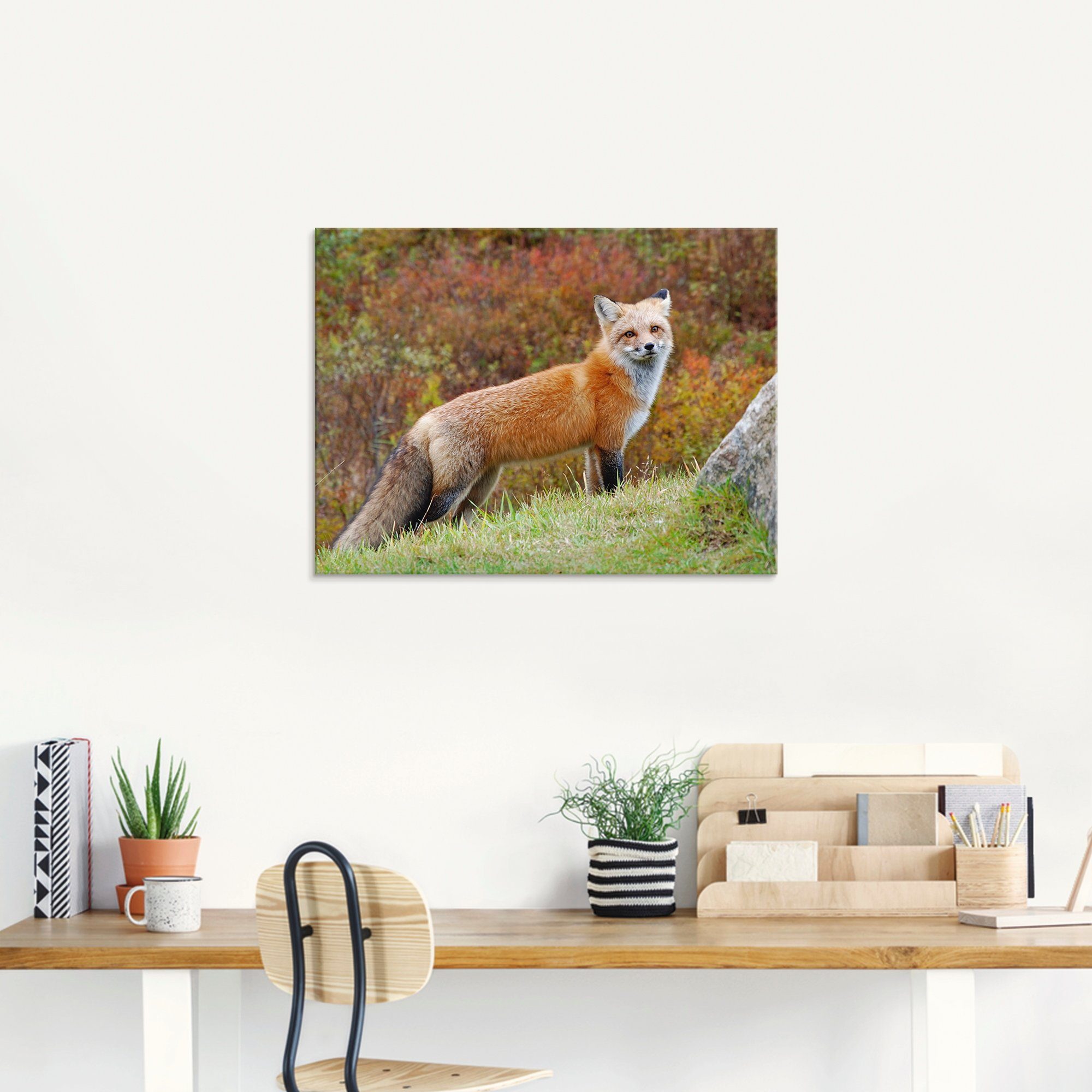 Artland Glasbild »Fuchs I«, Wildtiere (1 Stück)-kaufen