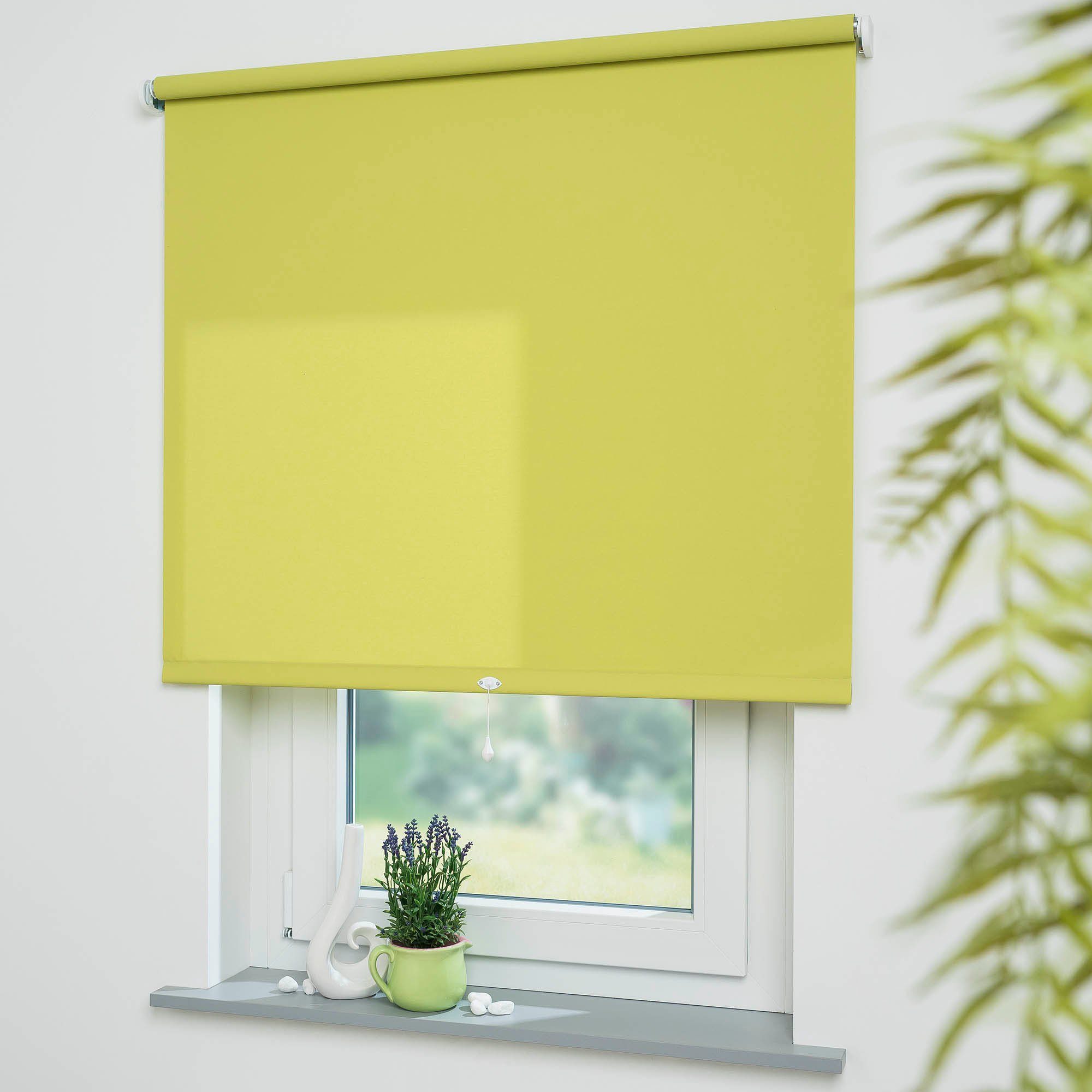 Springrollo Uni, Liedeco, Lichtschutz, freihängend, verschraubt, günstig online kaufen