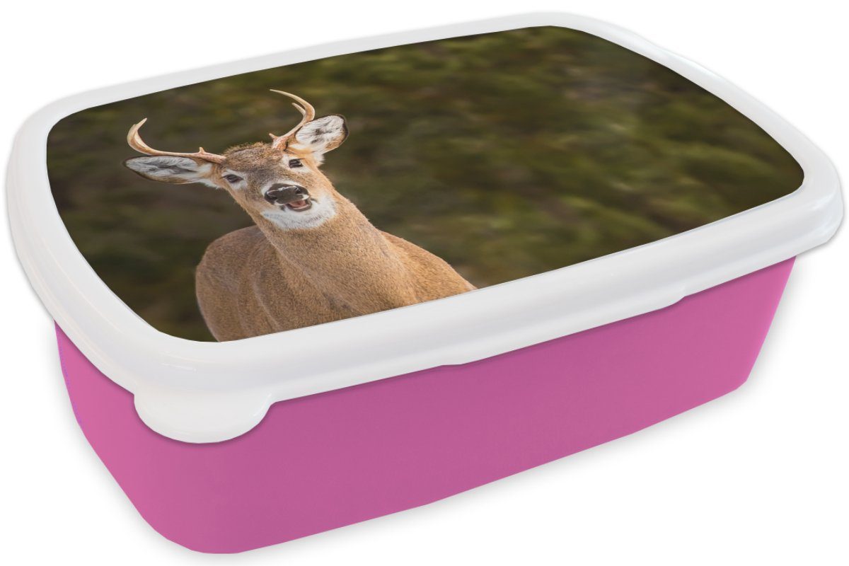 Brotbox Hirschkopf - Snackbox, MuchoWow Kinder, Hirsche rosa Natur, Lunchbox Erwachsene, Kunststoff Kunststoff, - für Mädchen, (2-tlg), Brotdose