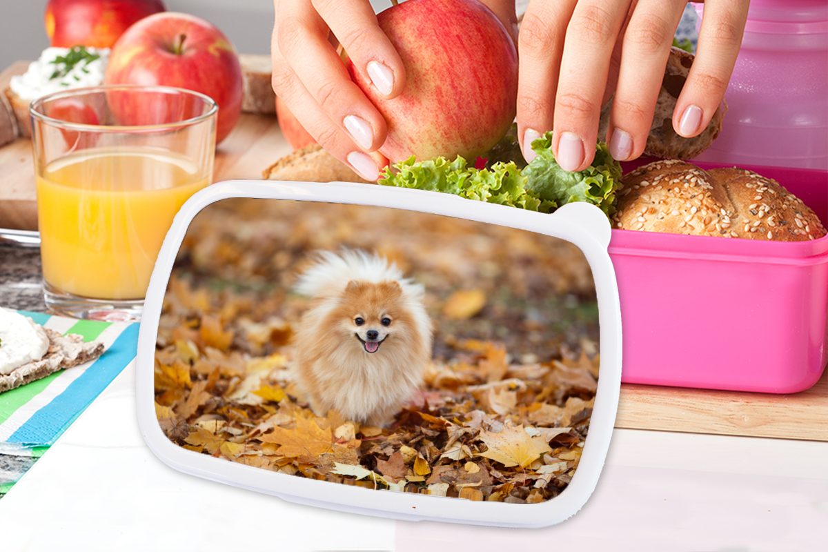 Pomeranian Kunststoff, Lunchbox Erwachsene, Brotdose (2-tlg), Herbst, Brotbox Snackbox, Kinder, rosa Mädchen, Kunststoff im für MuchoWow