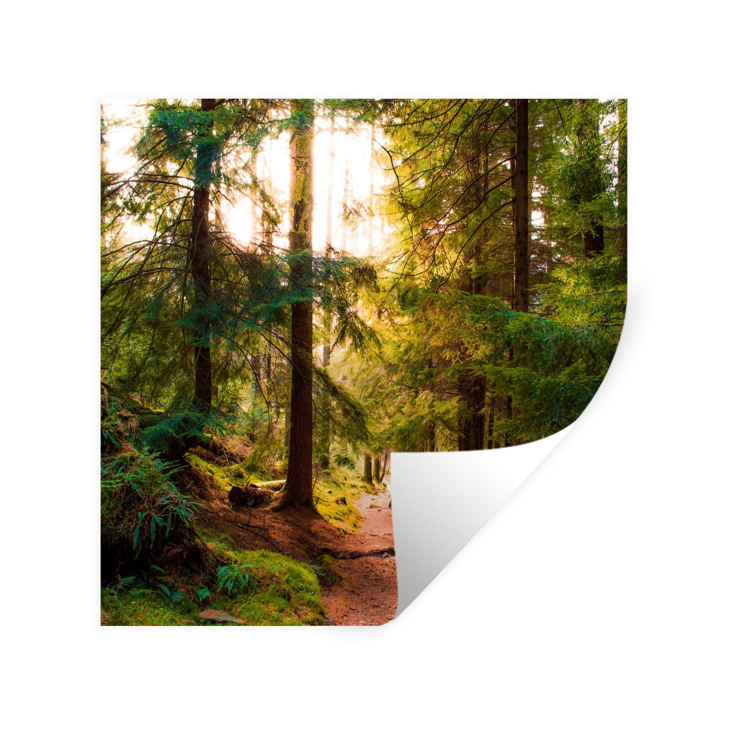 MuchoWow Wandsticker Wald - Weg - Bäume - Grün - Sonne - Natur (1 St), Wandaufkleber, Selbstklebend, Wohnzimmer, 30x30 cm