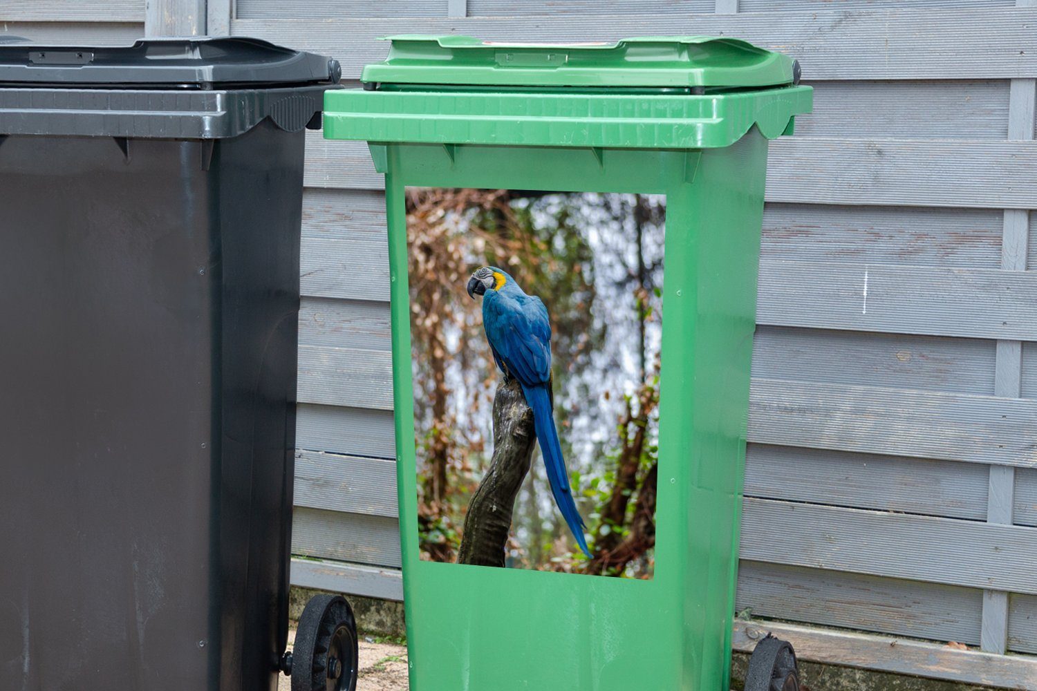 Wandsticker Papagei Abfalbehälter - Container, Blau MuchoWow Mülleimer-aufkleber, Mülltonne, (1 St), Vogel Sticker, -