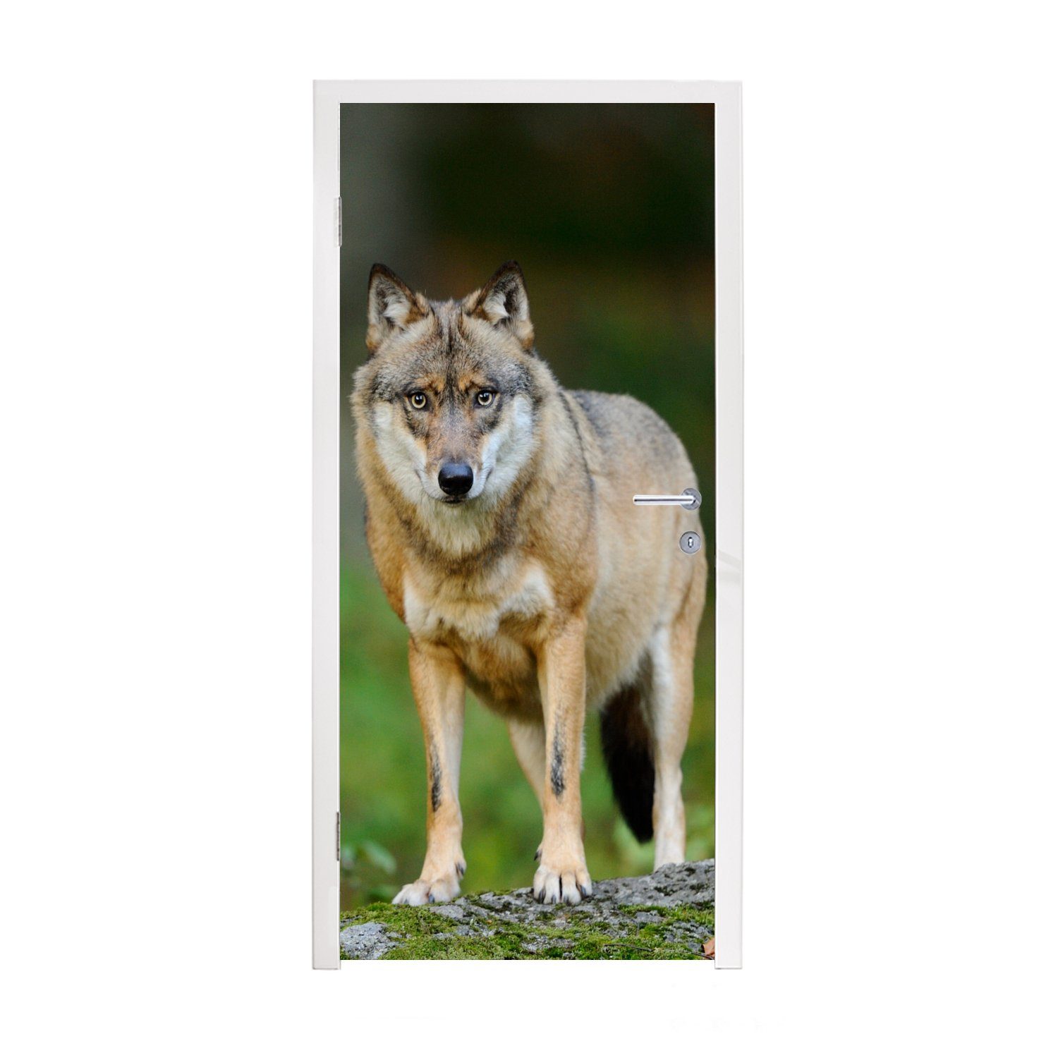 MuchoWow Türtapete Wolf - Asien - Pflanzen, Matt, bedruckt, (1 St), Fototapete für Tür, Türaufkleber, 75x205 cm