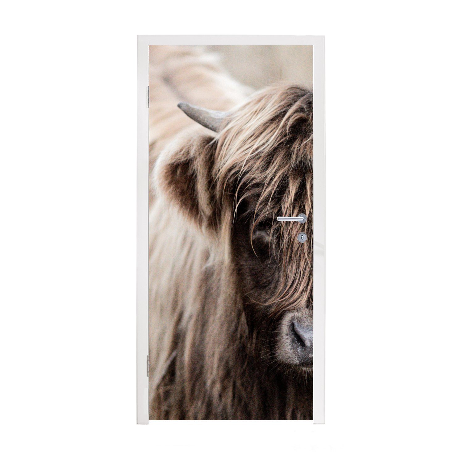 MuchoWow Türtapete Schottischer Highlander - Kuh - Vlies, Matt, bedruckt, (1 St), Fototapete für Tür, Türaufkleber, 75x205 cm