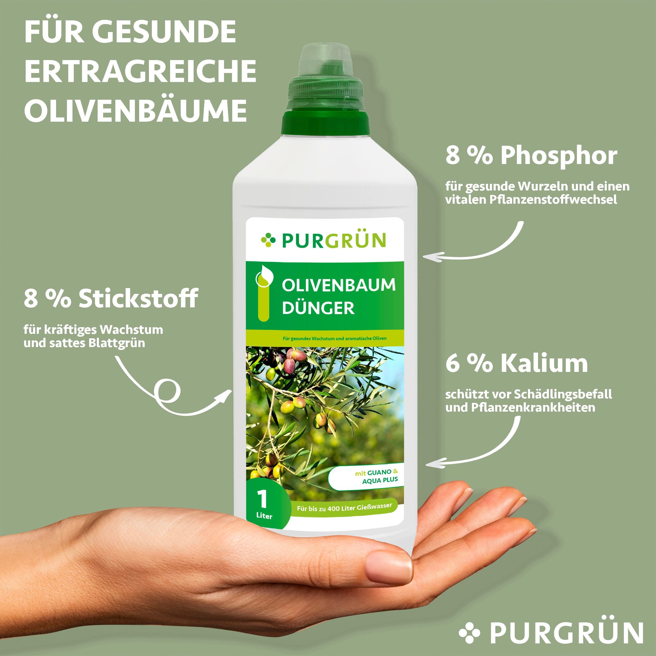 Purgrün Obstdünger Purgrün Olivenbaum Dünger, NPK günstig online kaufen