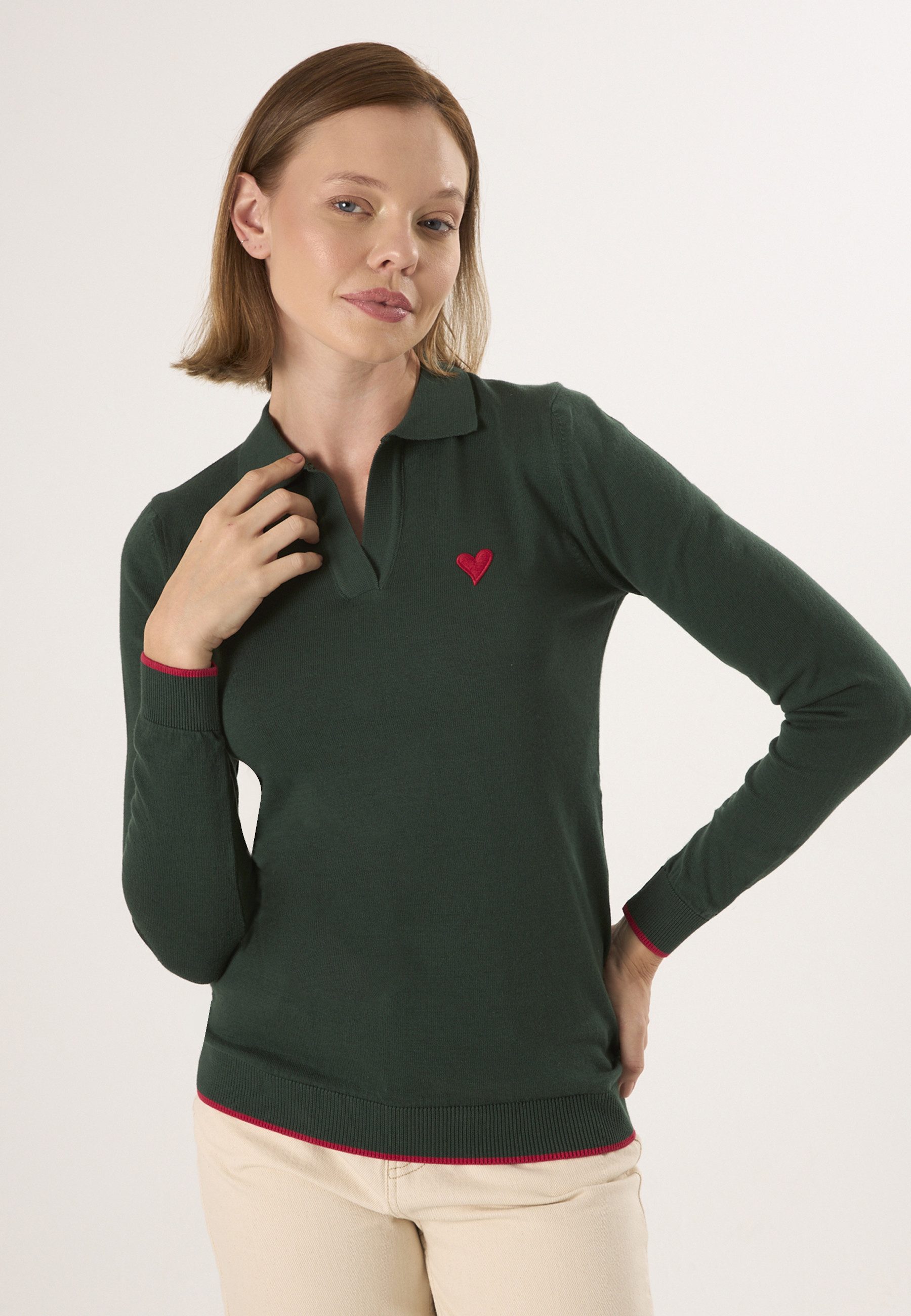Felix Hardy Polokragenpullover Strickpullover mit Rollkragen