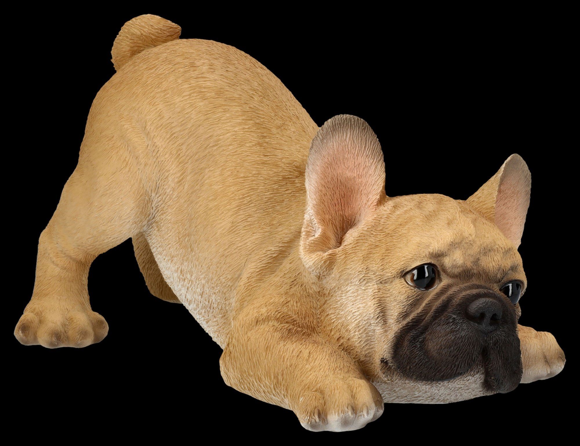 Figuren Shop GmbH Dogge Tierfigur Hundefigur Bulldogge Französische will spielen Hund Welpe - 