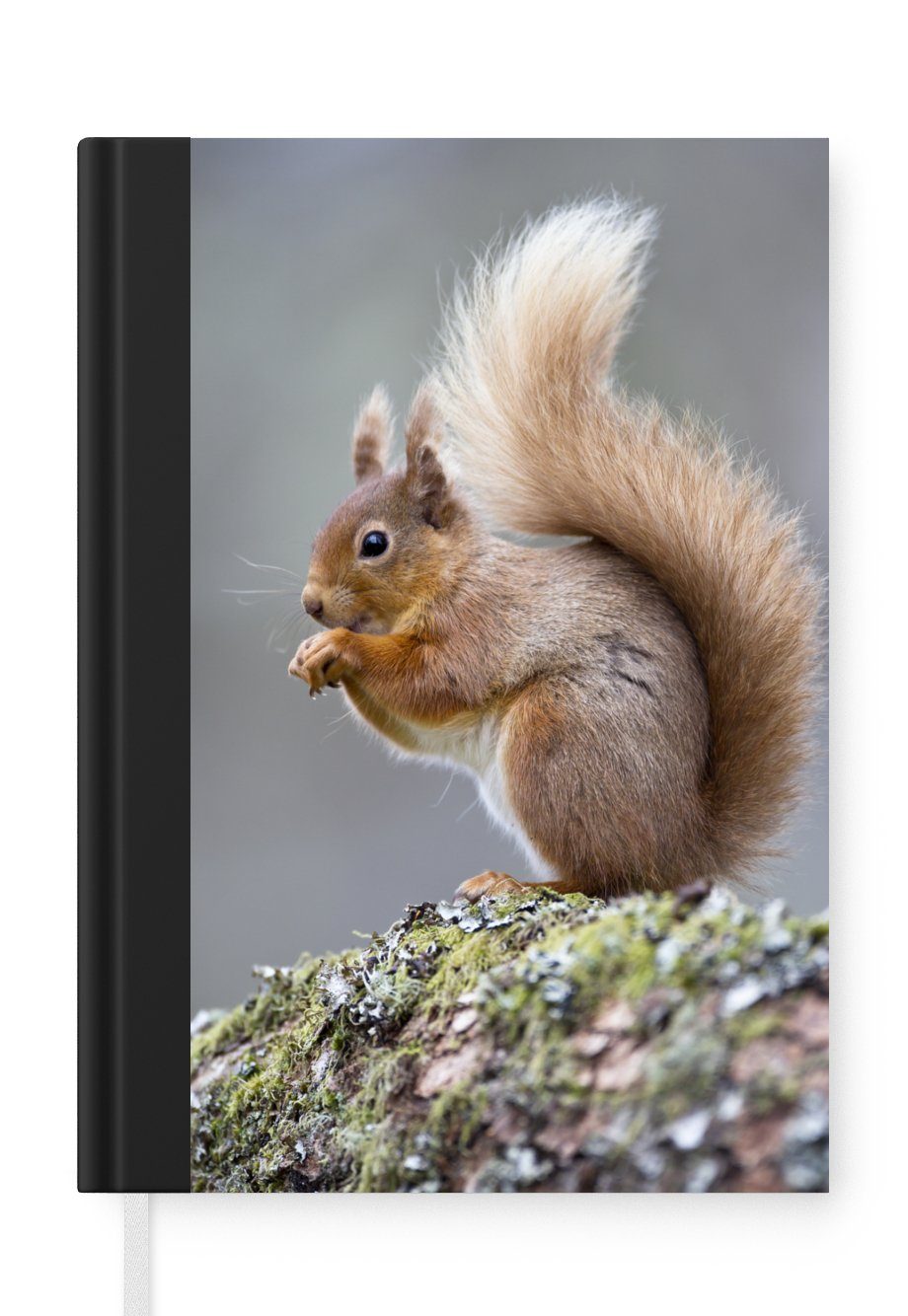 MuchoWow Notizbuch Weibliches rotes Eichhörnchen, Journal, Merkzettel, Tagebuch, Notizheft, A5, 98 Seiten, Haushaltsbuch