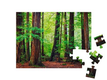 puzzleYOU Puzzle Redwood-Bäume, Nordwest-Regenwald, 48 Puzzleteile, puzzleYOU-Kollektionen Bäume, Wald & Bäume
