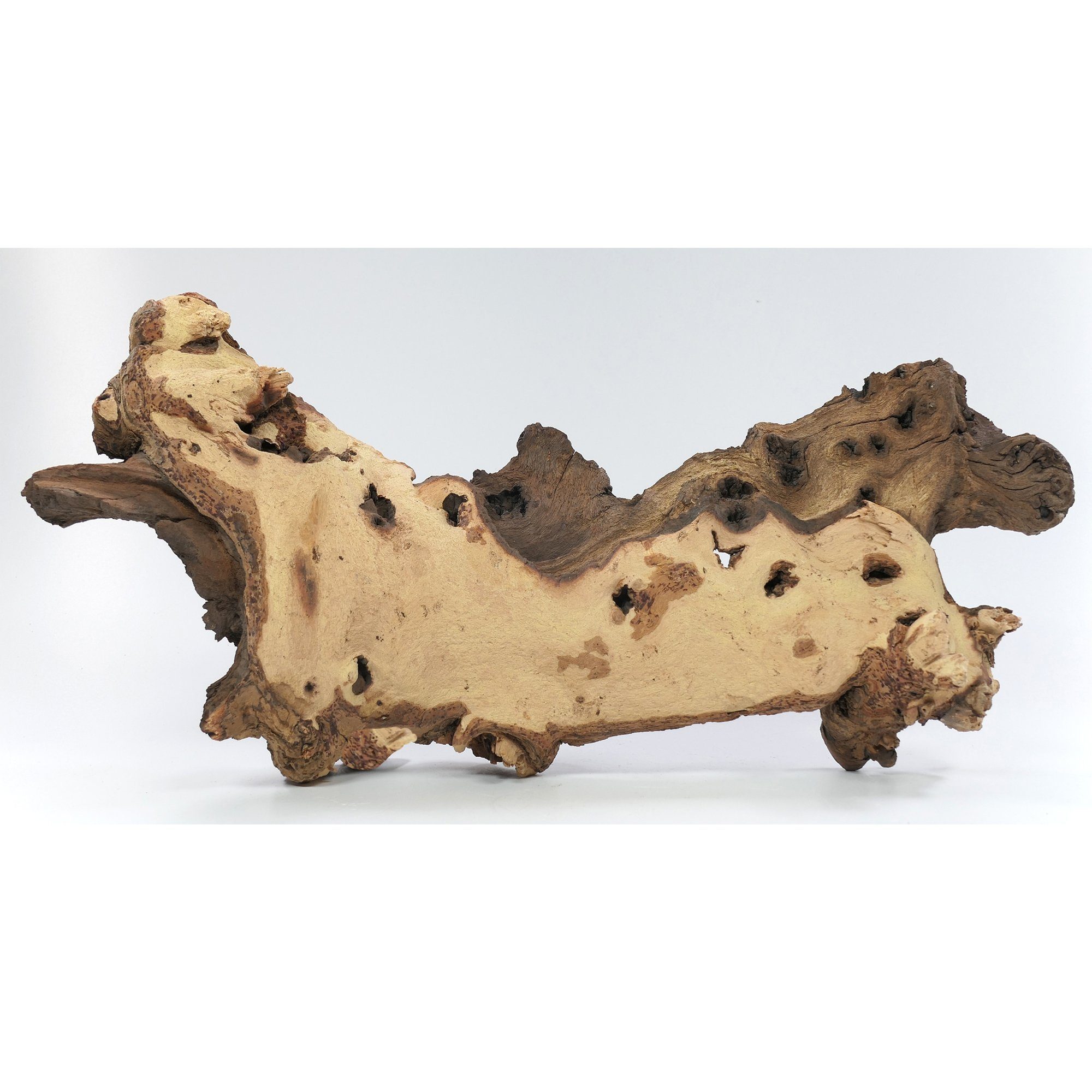 Deggelbam Aquarium Mopani Wurzel Eisenholzwurzel Aquarium versch. Größen S-XL, Echtholzwurzel zur Aquariumdekoration, Aquascaping