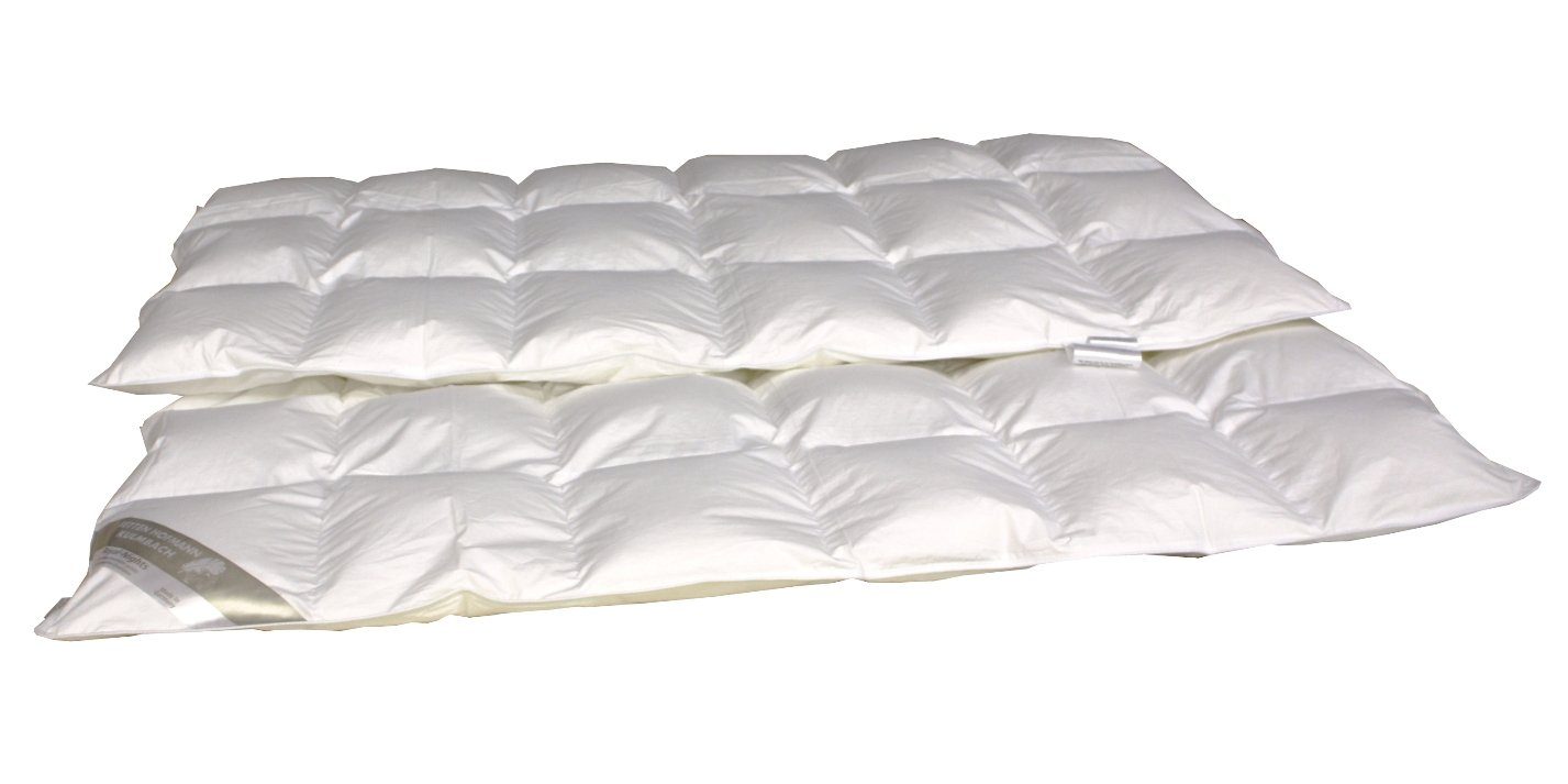 Betten Hofmann 4-Jahreszeitenbett Betten Hofmann Premium Daunendecke 6x8 13 günstig online kaufen