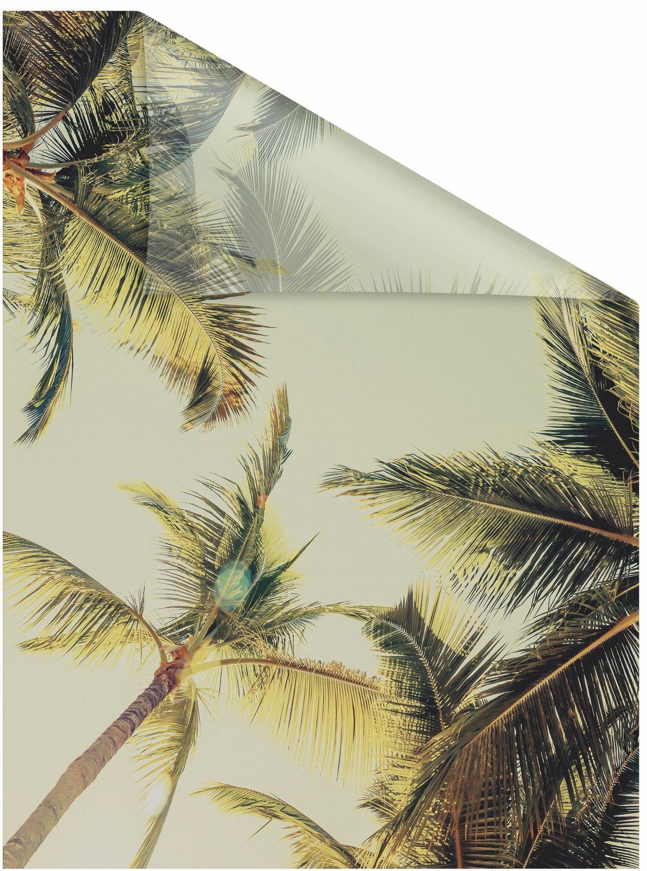 Fensterfolie Palmen und Sonne, LICHTBLICK ORIGINAL, blickdicht,  strukturiert, selbstklebend, Sichtschutz