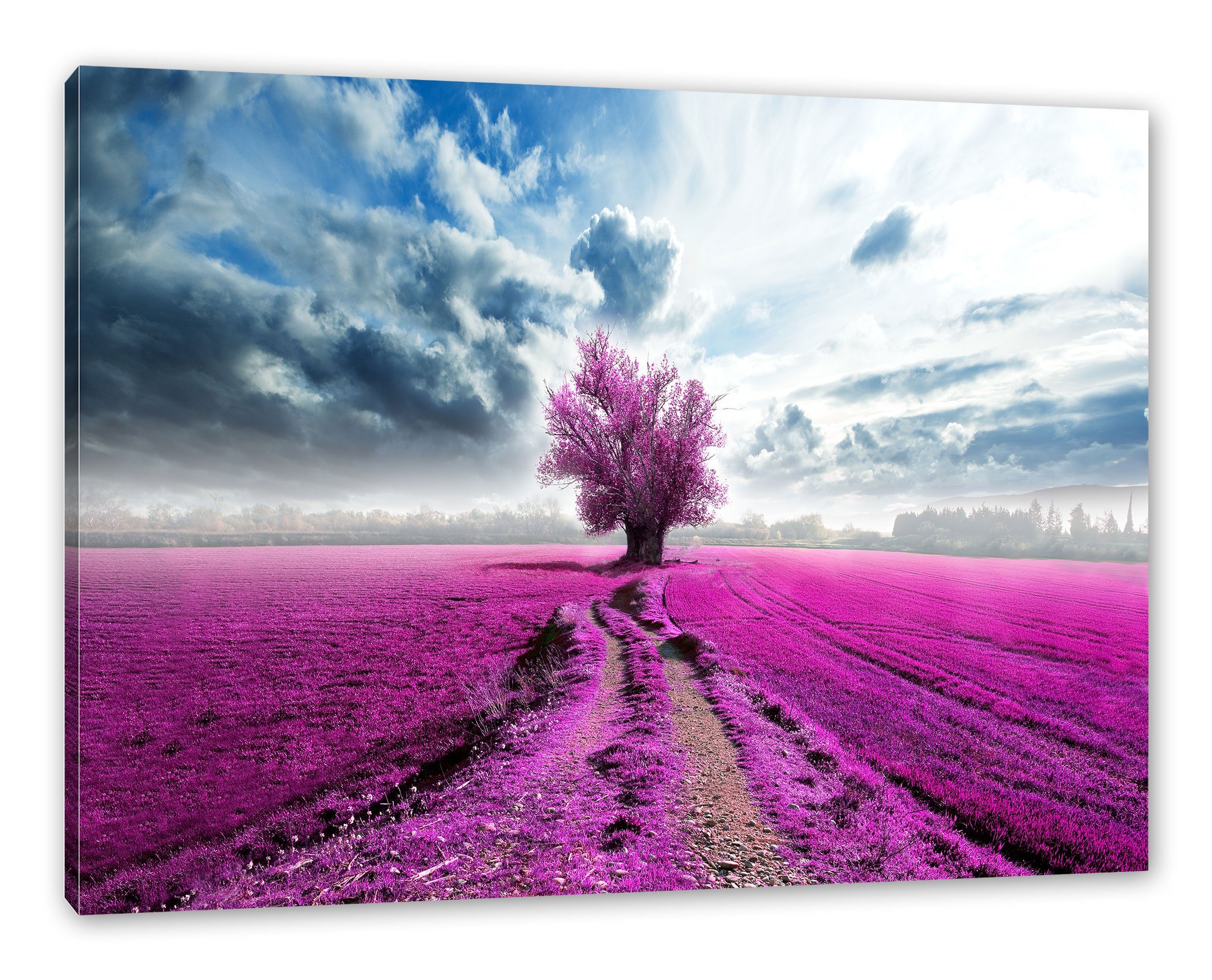 Pixxprint Leinwandbild Pinkes Feld mit pinkem Baum, Pinkes Feld mit pinkem günstig online kaufen