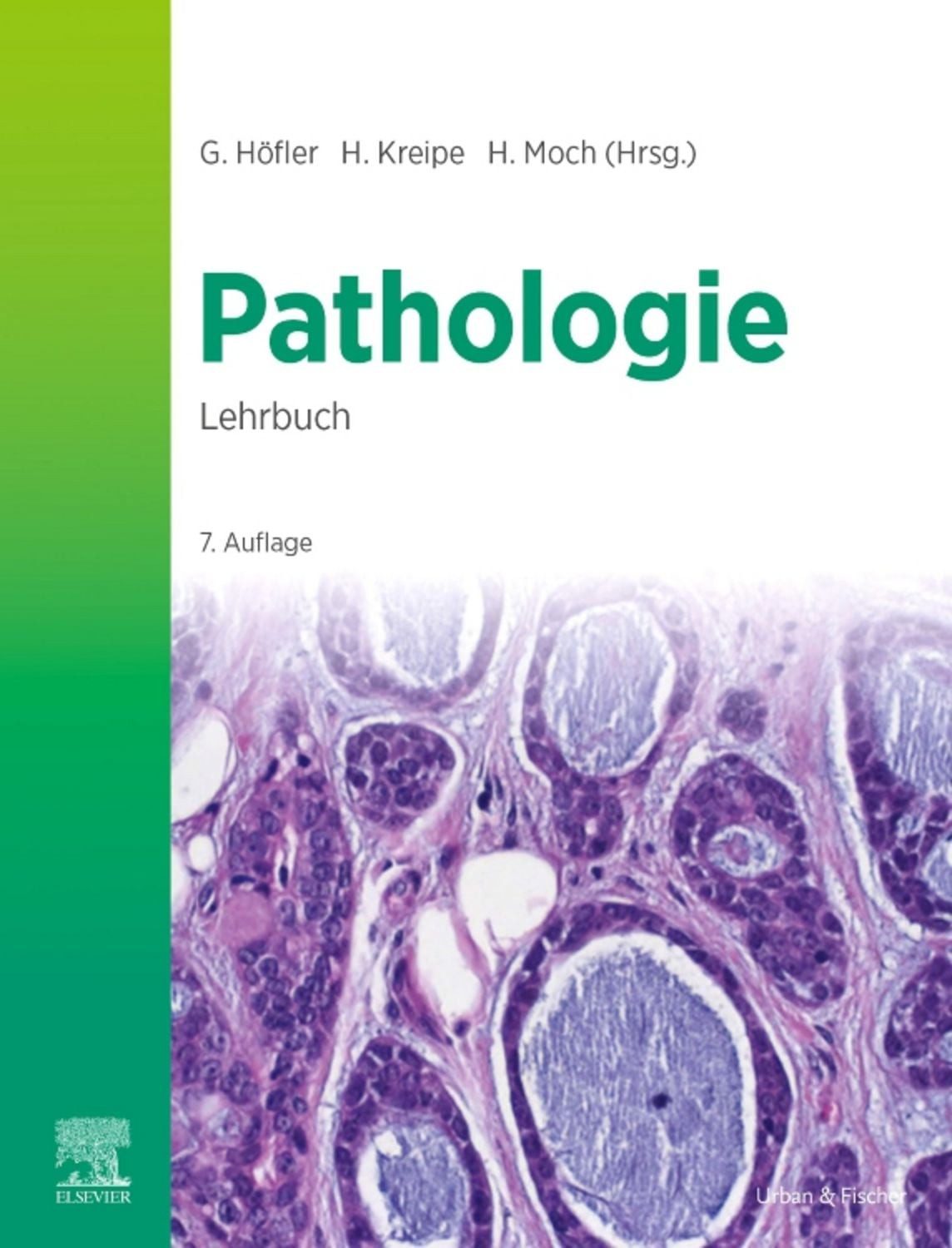Lehrbuch Pathologie / diverse