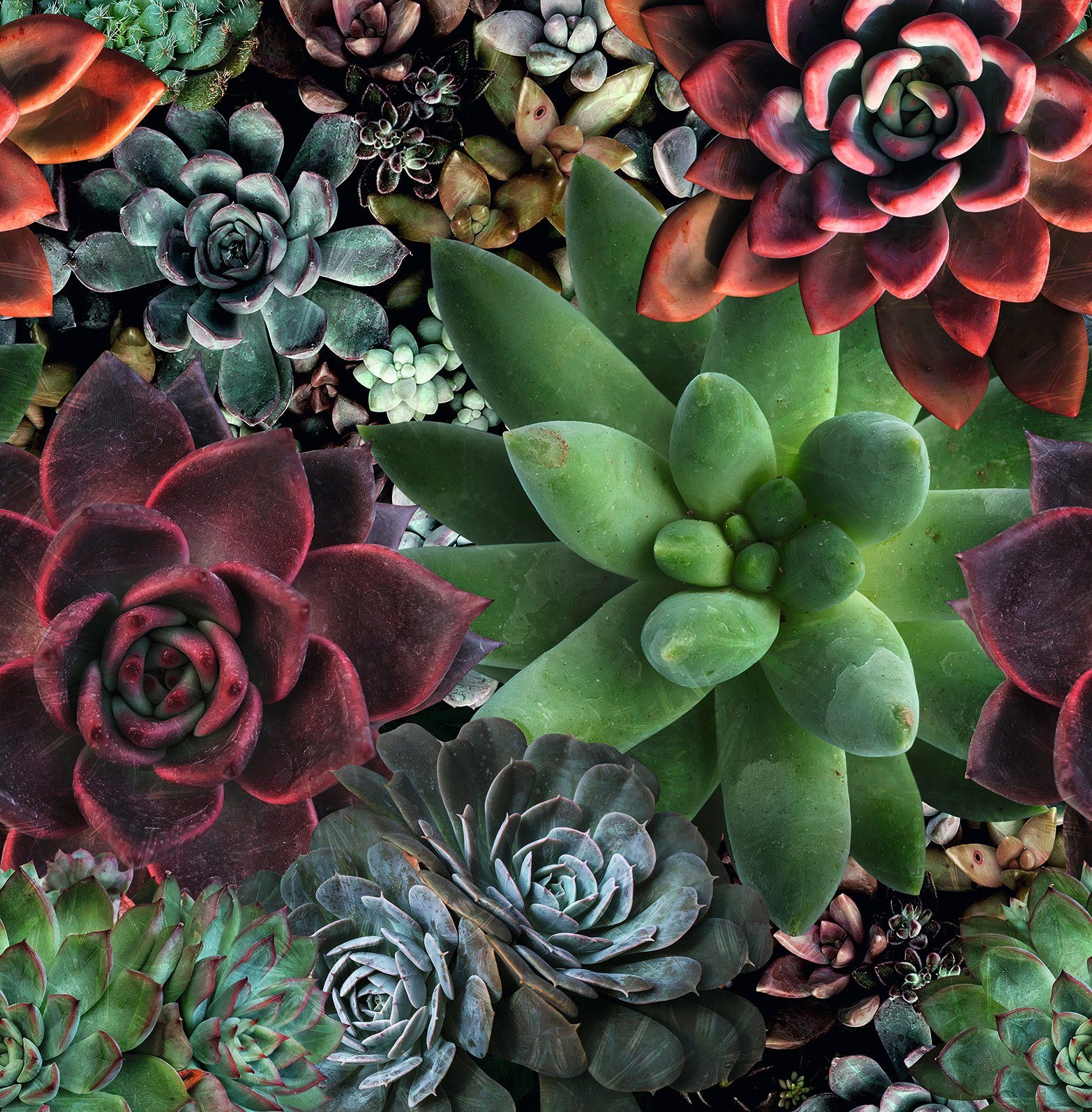 Marburg Fototapete, botanisch, moderne Tapete für Wohnzimmer Schlafzimmer Küche