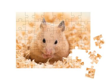 puzzleYOU Puzzle Goldhamster auf Holzspänen, 48 Puzzleteile, puzzleYOU-Kollektionen Hamster, Insekten & Kleintiere