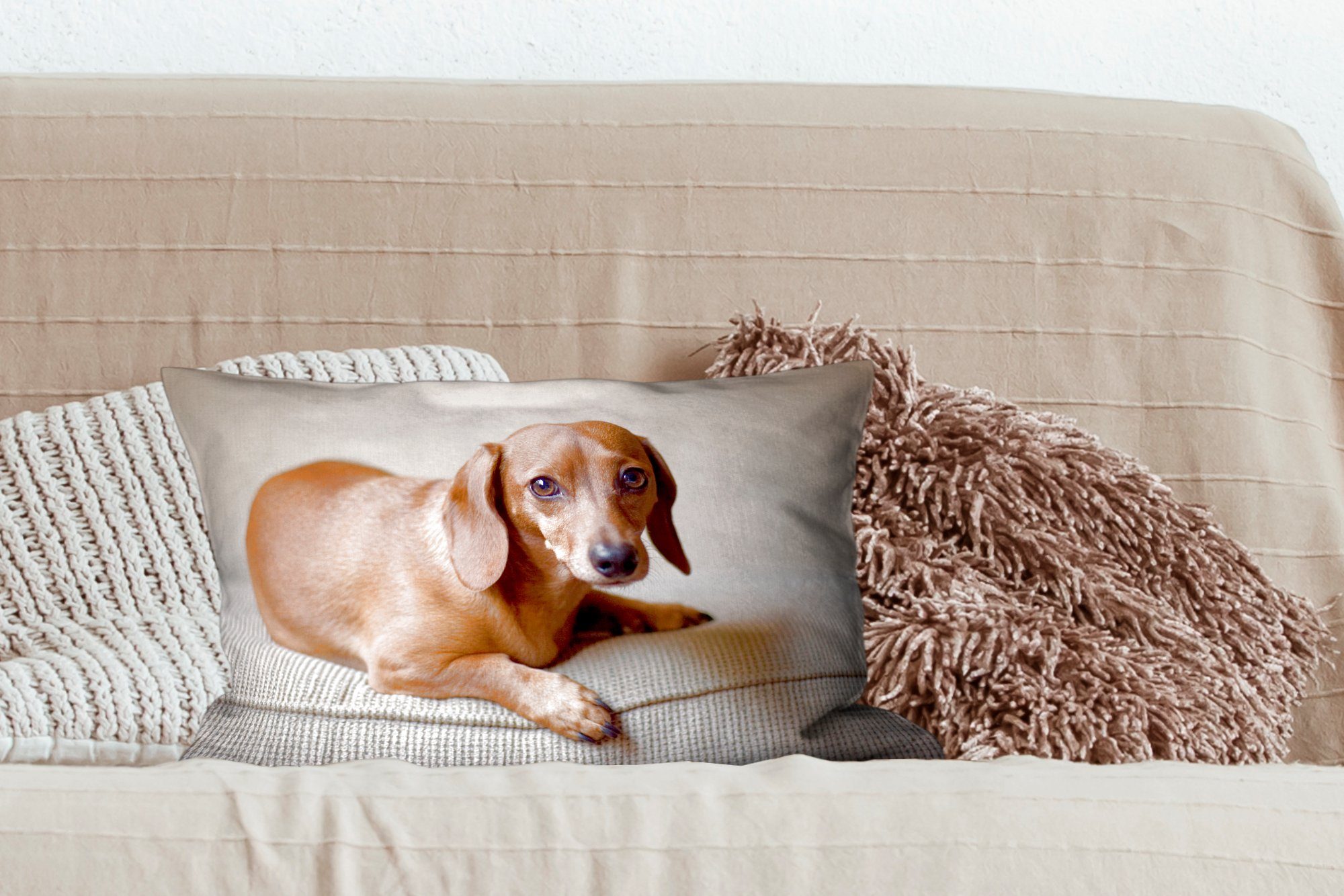 Wohzimmer Dekokissen MuchoWow Ein schaut Kamera, brauner Schlafzimmer Zierkissen, Dekoration, mit Dekokissen in Füllung, Dackel die