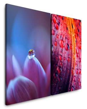 Sinus Art Leinwandbild 2 Bilder je 60x90cm Wassertropfen Regentropfen Blüten Blumen Sanft Beruhigend Makrofotografie