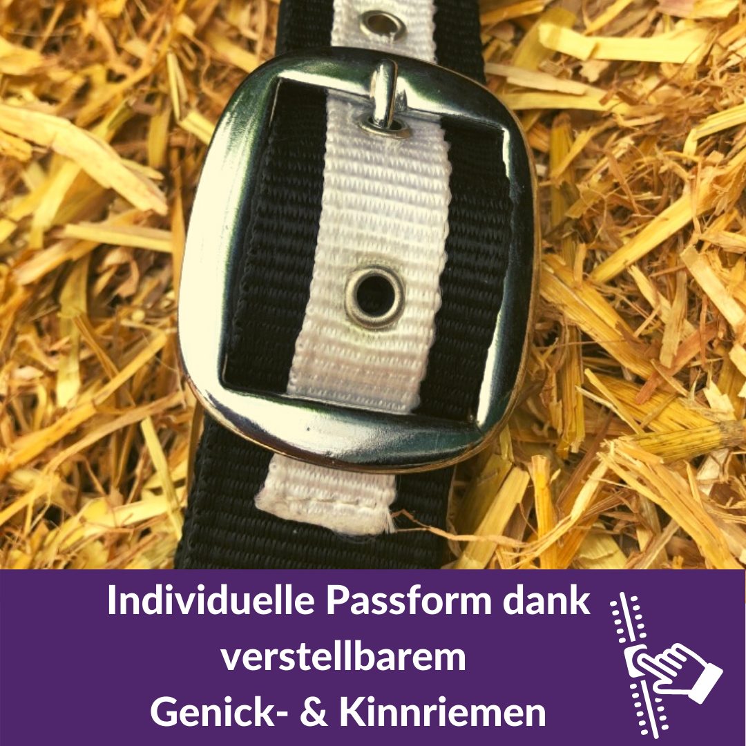 Pferdelinis Halfter Halfter für Pferde Kaltblut, xfull, 2 Fach verstellbar, zweifach verstellbar