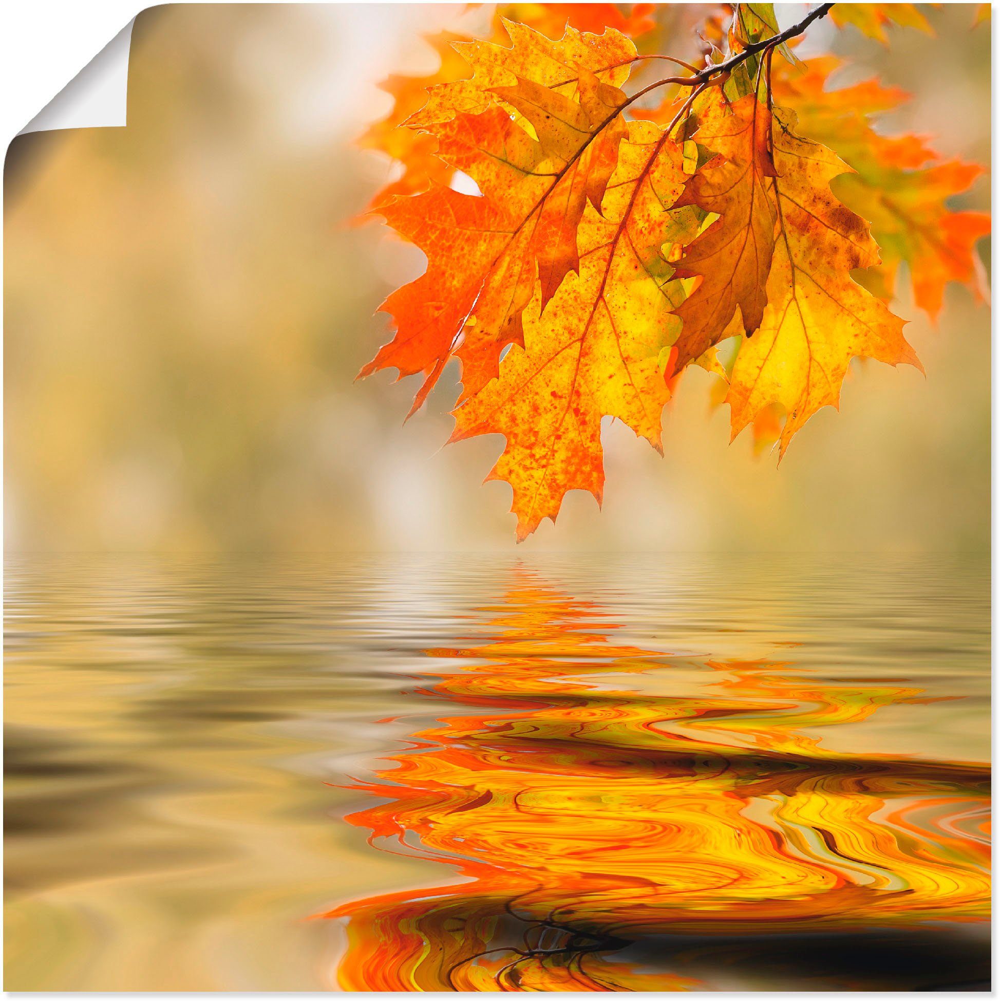 Artland Wandbild Herbstblatt, Blätter (1 St), als Alubild, Leinwandbild, Wandaufkleber oder Poster in versch. Größen