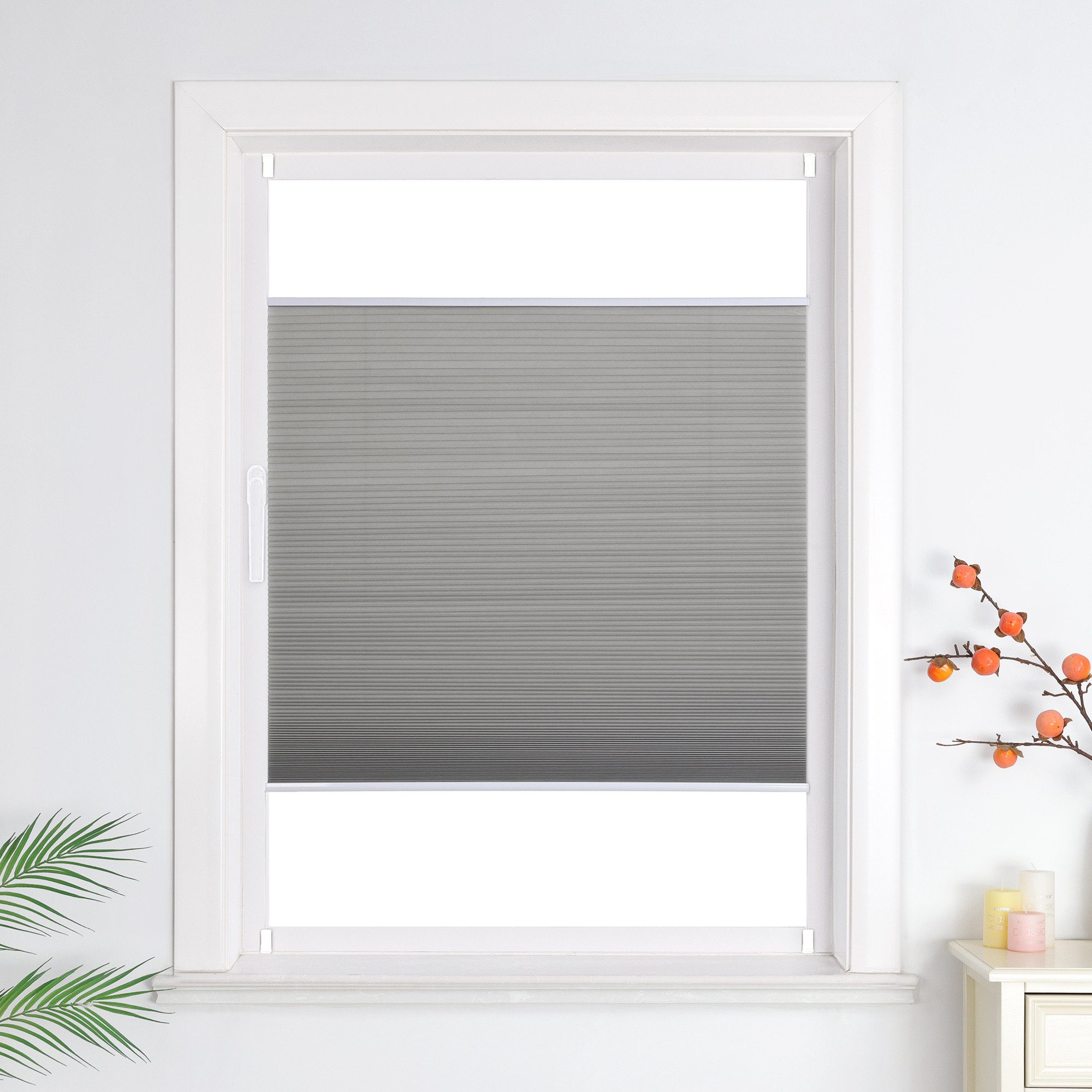 Joyswahl Wabenplissee, halbtransparent, verspannt, Klemmfix, ohne Bohren Ro günstig online kaufen