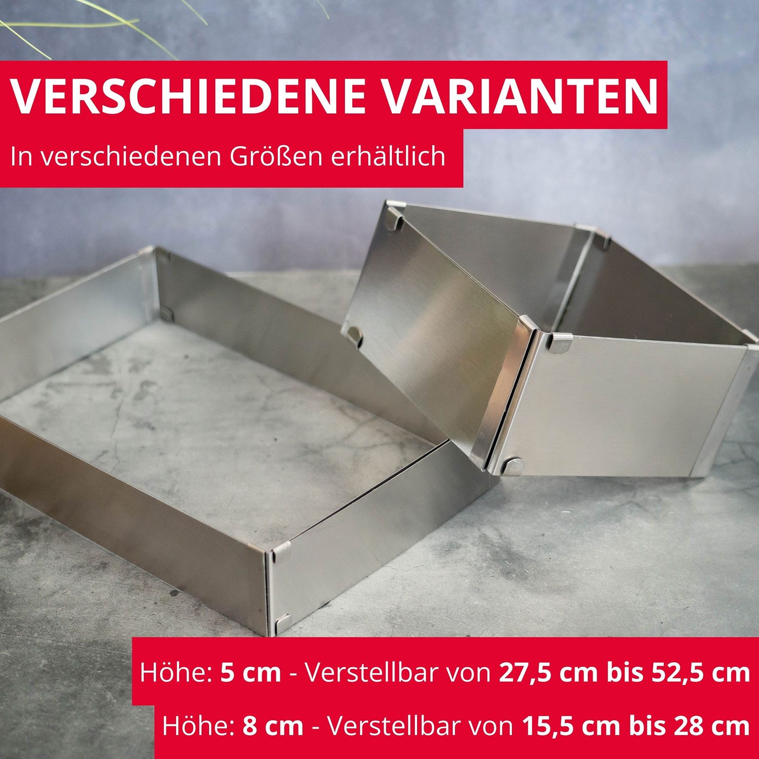 WESTMARK Backform Mit Teiler, Stufenlos verstellbar, Kuchen- und Pizzarahmen