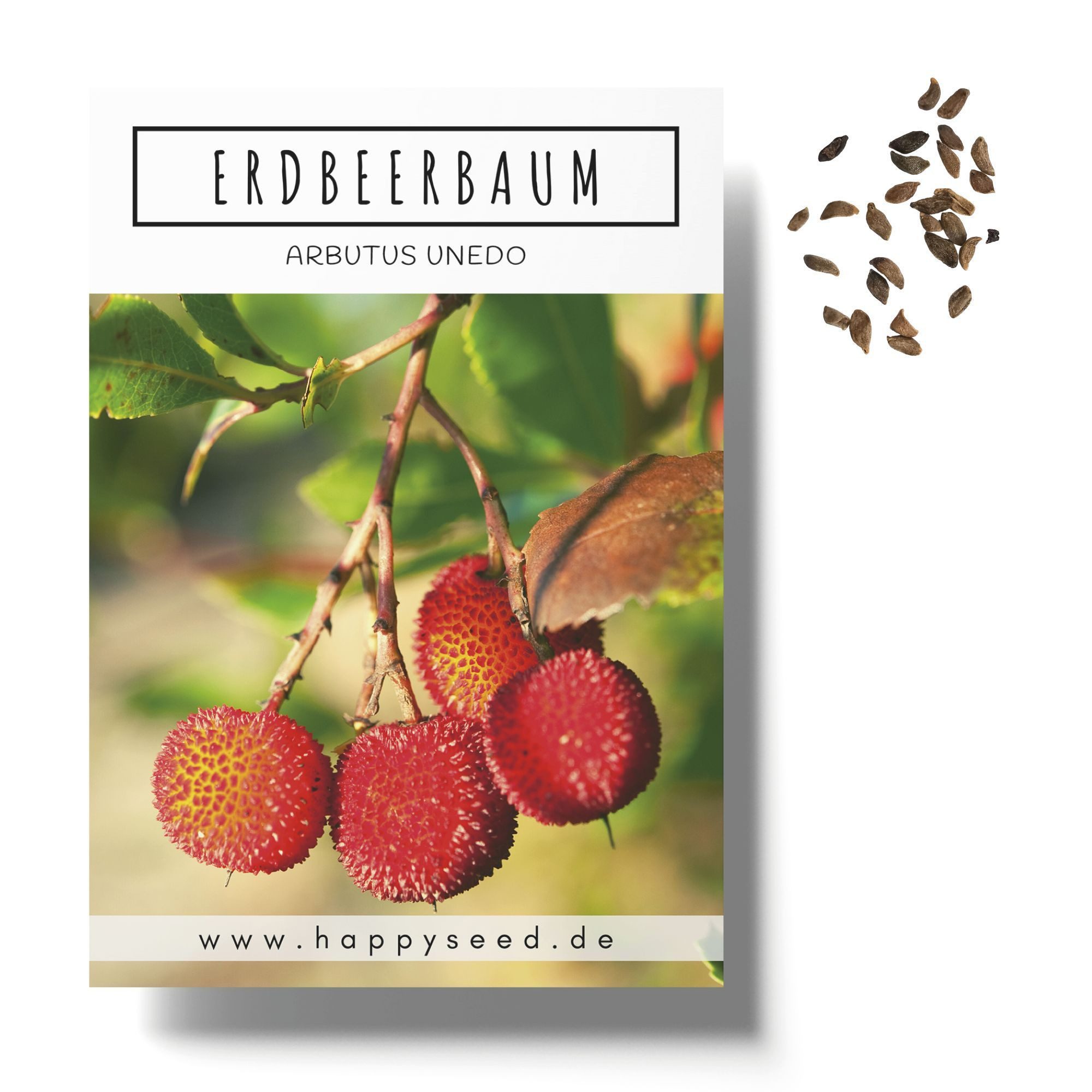 HappySeed Blumensamen Erdbeerbaum Samen - Arbutus unedo, Blumen