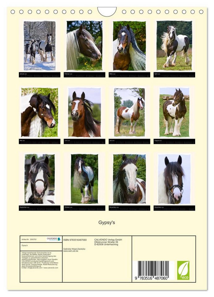 Thumbnail - CALVENDO Wandkalender Gypsy's (Wandkalender 2026 DIN A4 hoch), CALVENDO Monatskalender