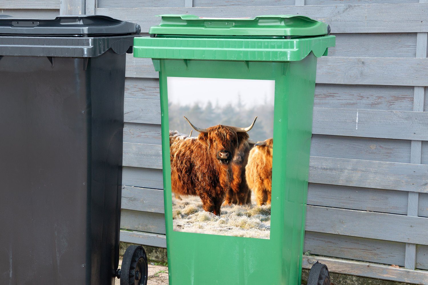 MuchoWow Wandsticker Schottische Highlander St), (1 Schnee Mülltonne, Container, Sticker, - - Abfalbehälter Mülleimer-aufkleber, Wald