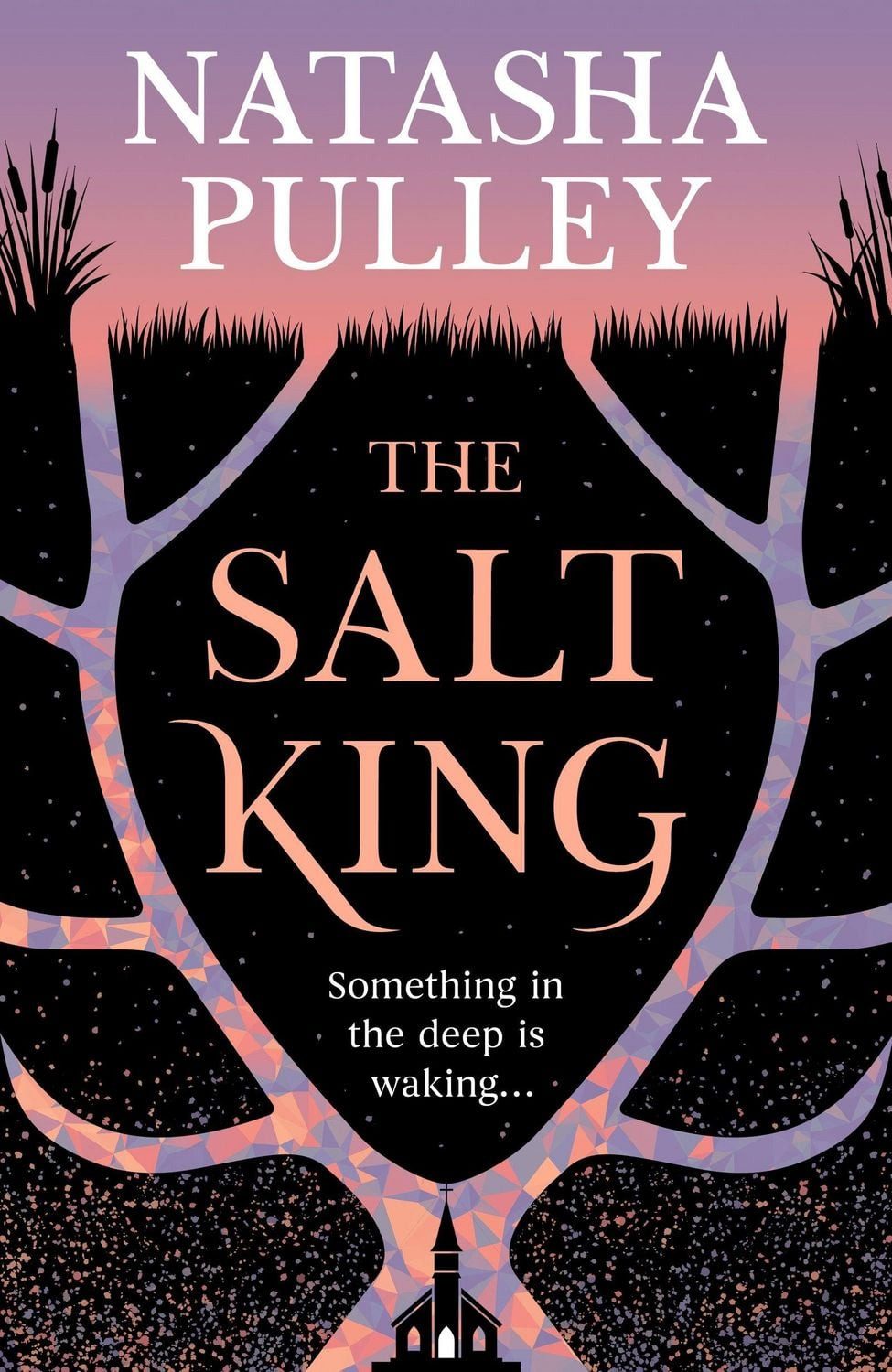 The Salt King / Natasha Pulley