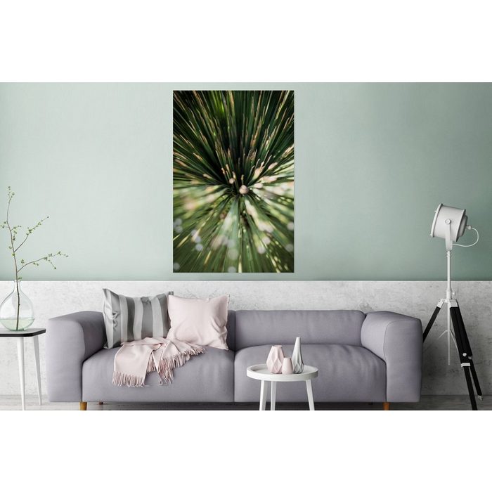 MuchoWow Acrylglasbild Kaktus - Abstrakt - Pflanze (1 St) Glasbilder - Bilder auf Glas Wandbild - Foto auf Glas - Wanddekoration SY12430
