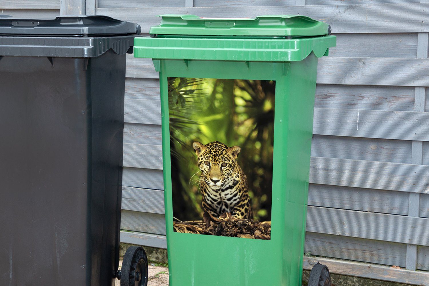 MuchoWow Wandsticker Junger Dschungel St), im Abfalbehälter Jaguar Container, Sticker, Mülltonne, (1 Mülleimer-aufkleber