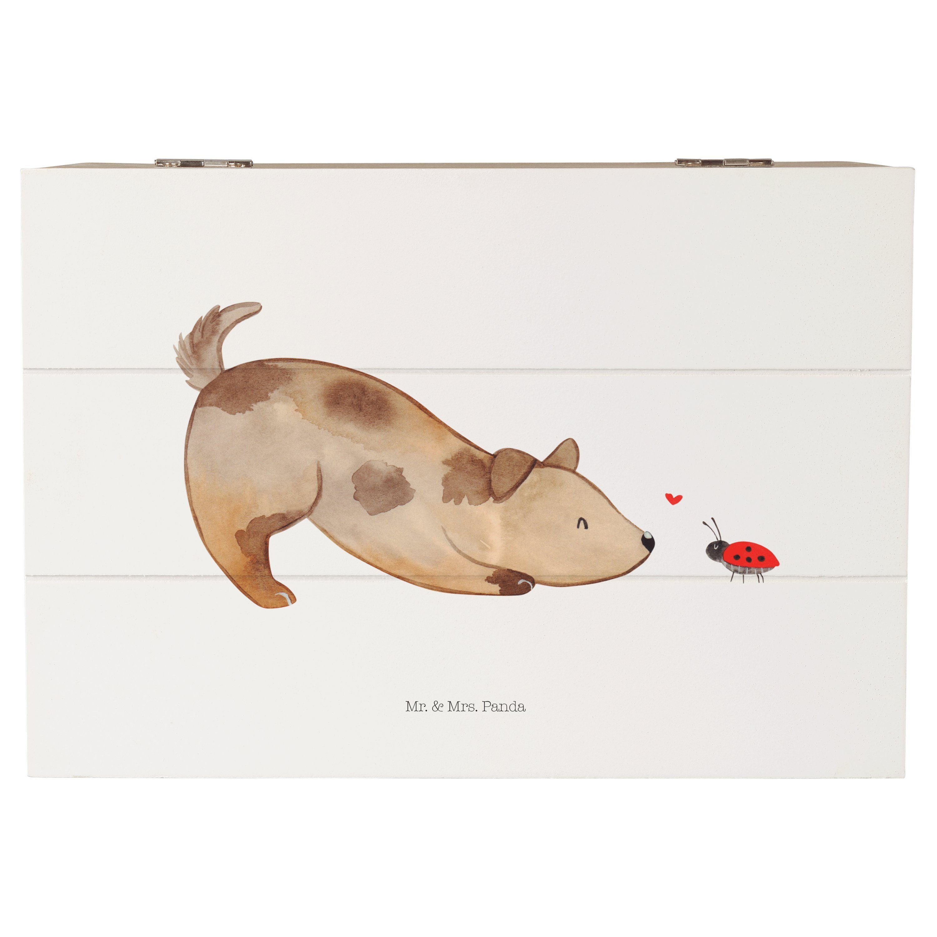 Dekokiste Hund Marienkäfer - Weiß - Geschenk, Aufbewahrungsbox, Hundeliebe, Mis
