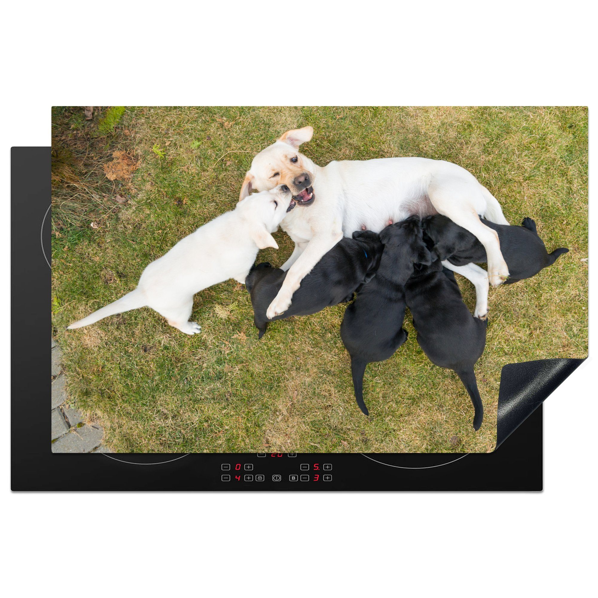 MuchoWow Herdblende-/Abdeckplatte Hund mit vielen Welpen, Vinyl, (1 tlg), 81x52 cm, Induktionskochfeld Schutz für die küche, Ceranfeldabdeckung