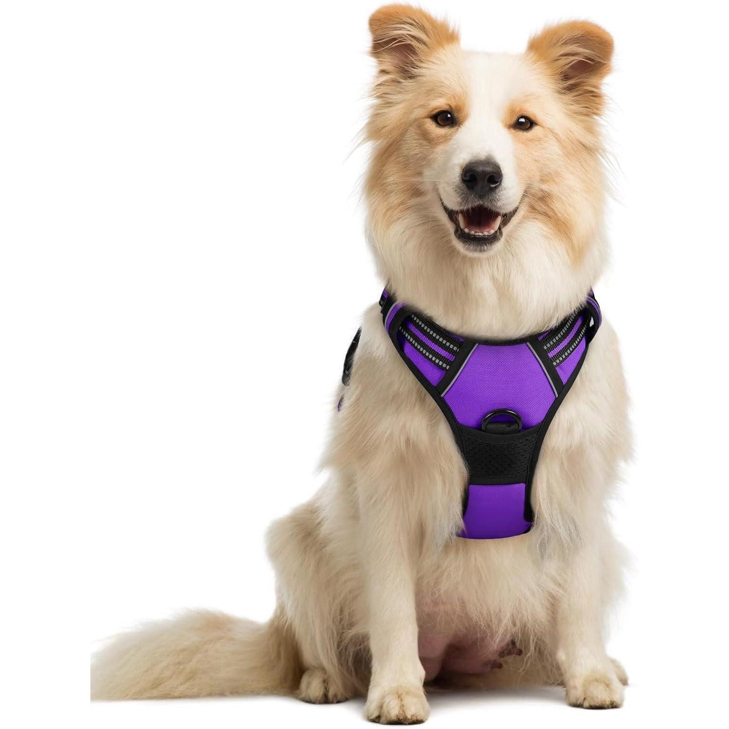 LuxusKollektion Hunde-Sicherheitsgeschirr Hundegeschirr Verstellbar No Pull Reflexstreifen Lila M (1er Pack)