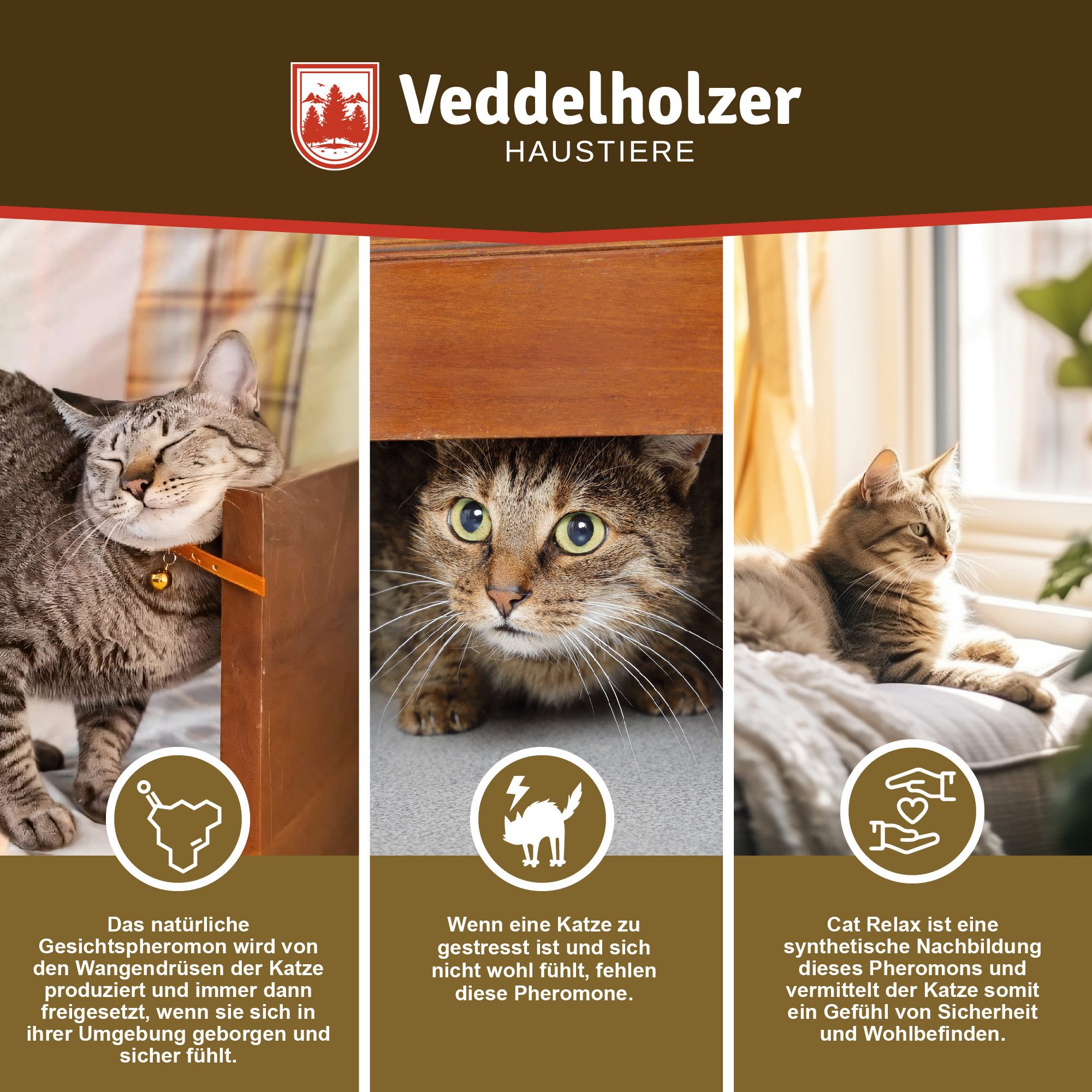 Veddelholzer Katzen-Spielspray Relax Cat Pheromone Katzen Nachfüll Set aus 3 x 45ml Flakon (Beruhigungsmittel für Katzen, 3-St., Entspannungs & Anti Stress Mittel für Katzen), urinieren verhindern gegen kratzen