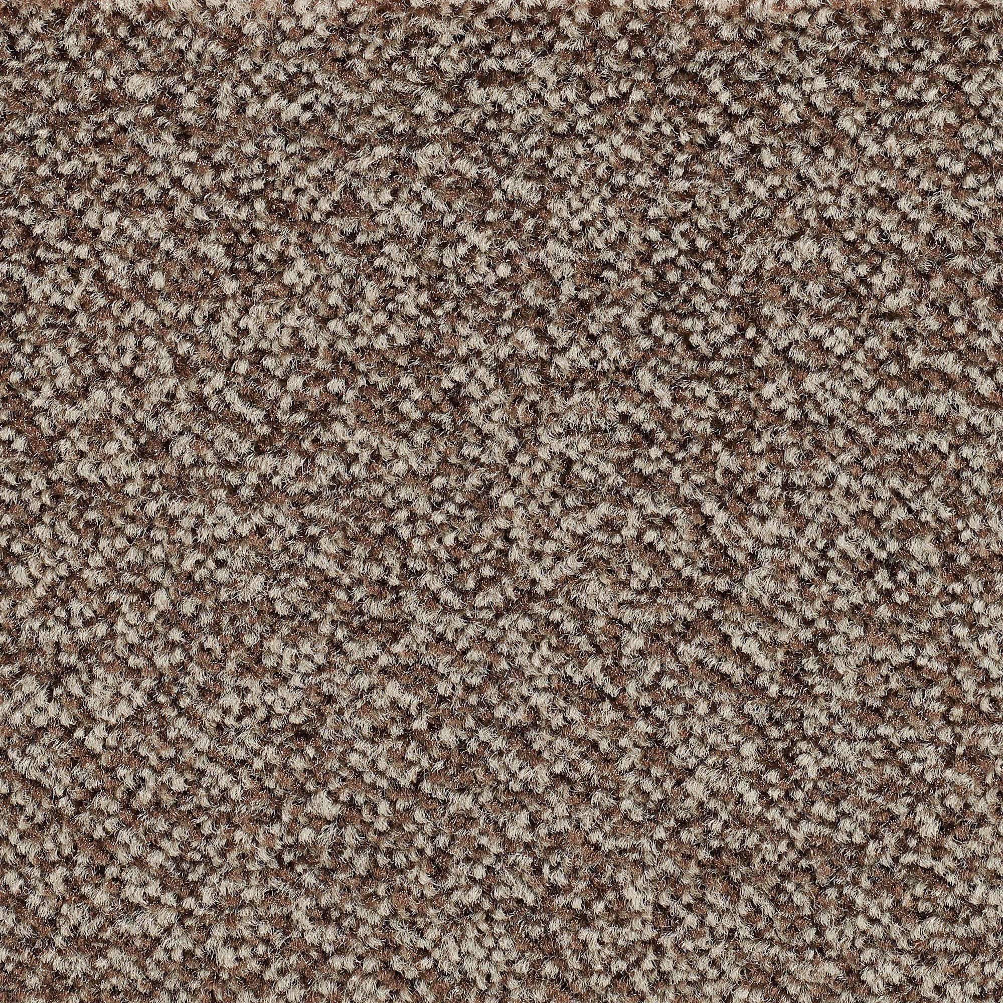 Teppichboden Veloursteppich Juno, Bodenmeister, rechteckig, Höhe: 8,5 mm, Wohnzimmer, Schlafzimmer, Kinderzimmer, Breite 400/500 cm dunkel-braun