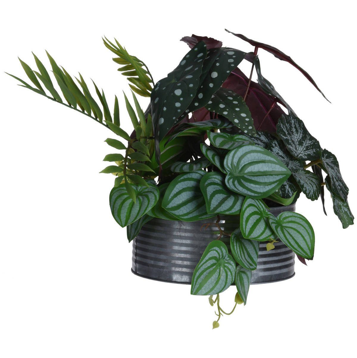 Kunstpflanze Zimmerpflanze, Home & styling collection, Höhe 34 cm | Kunstpflanzen