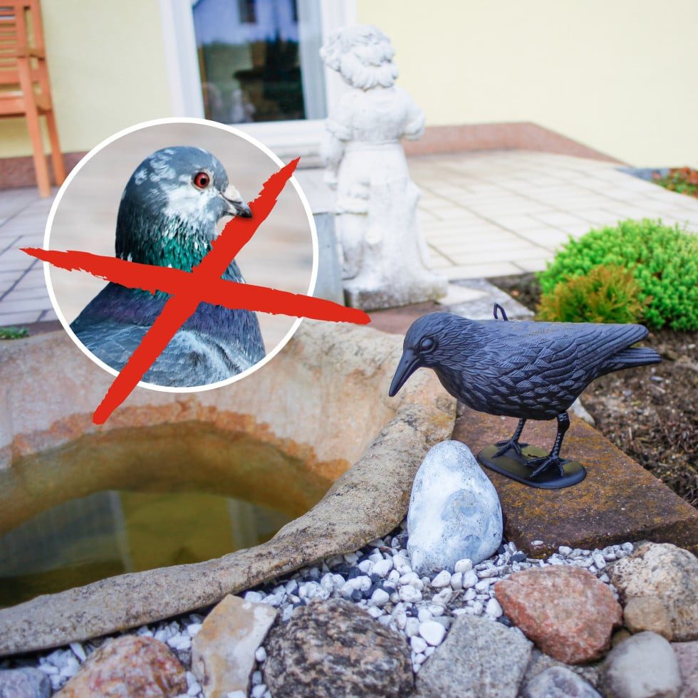 Gardigo Vogelattrappe Gardigo Vogelabwehr Krähe schwarz